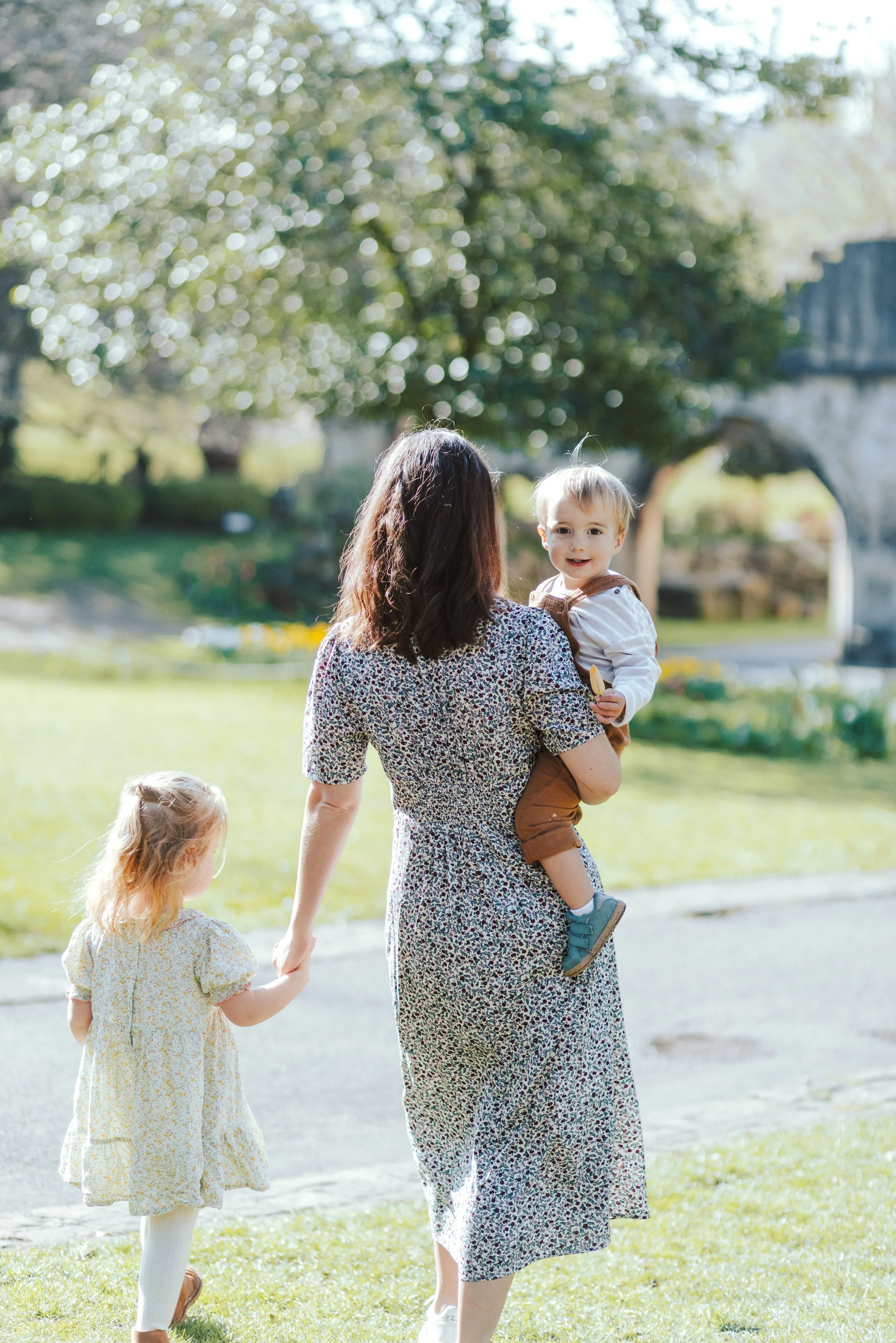 York family photographer 
