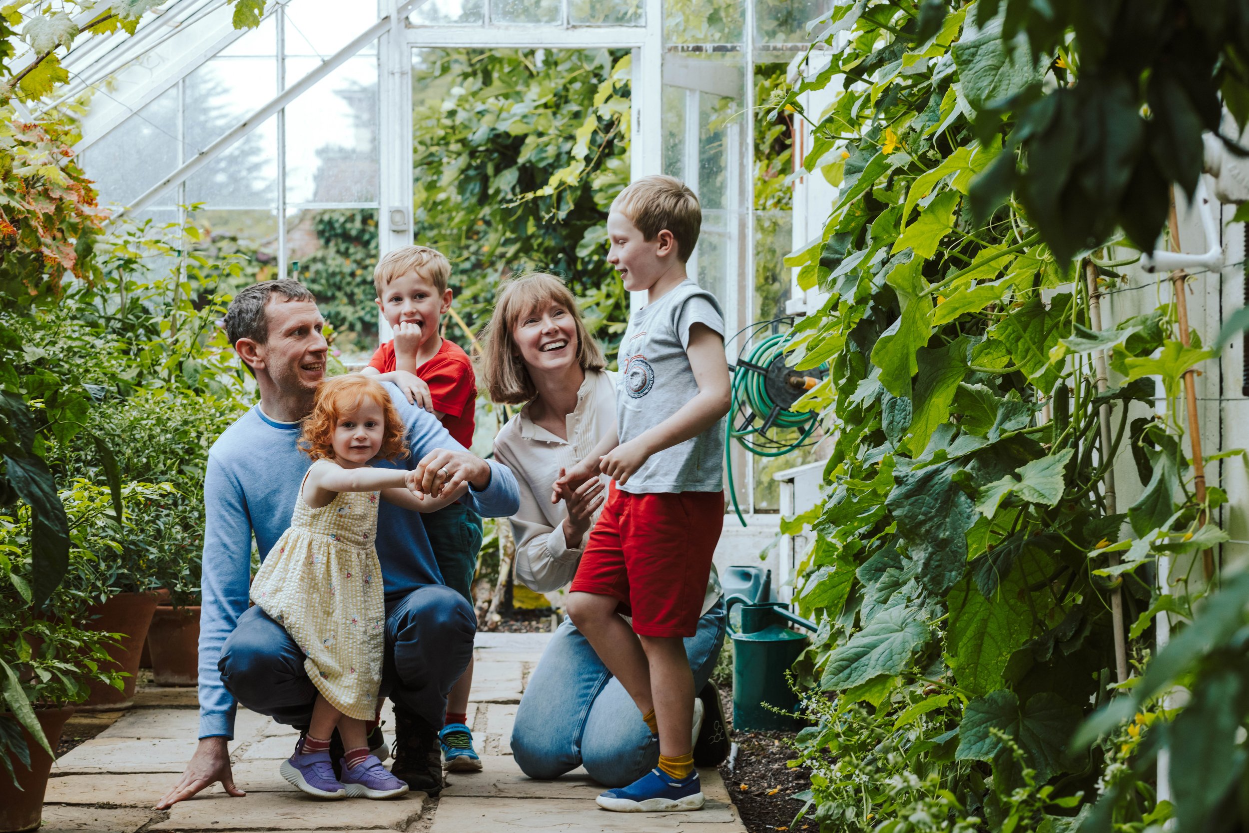 York family photographer 