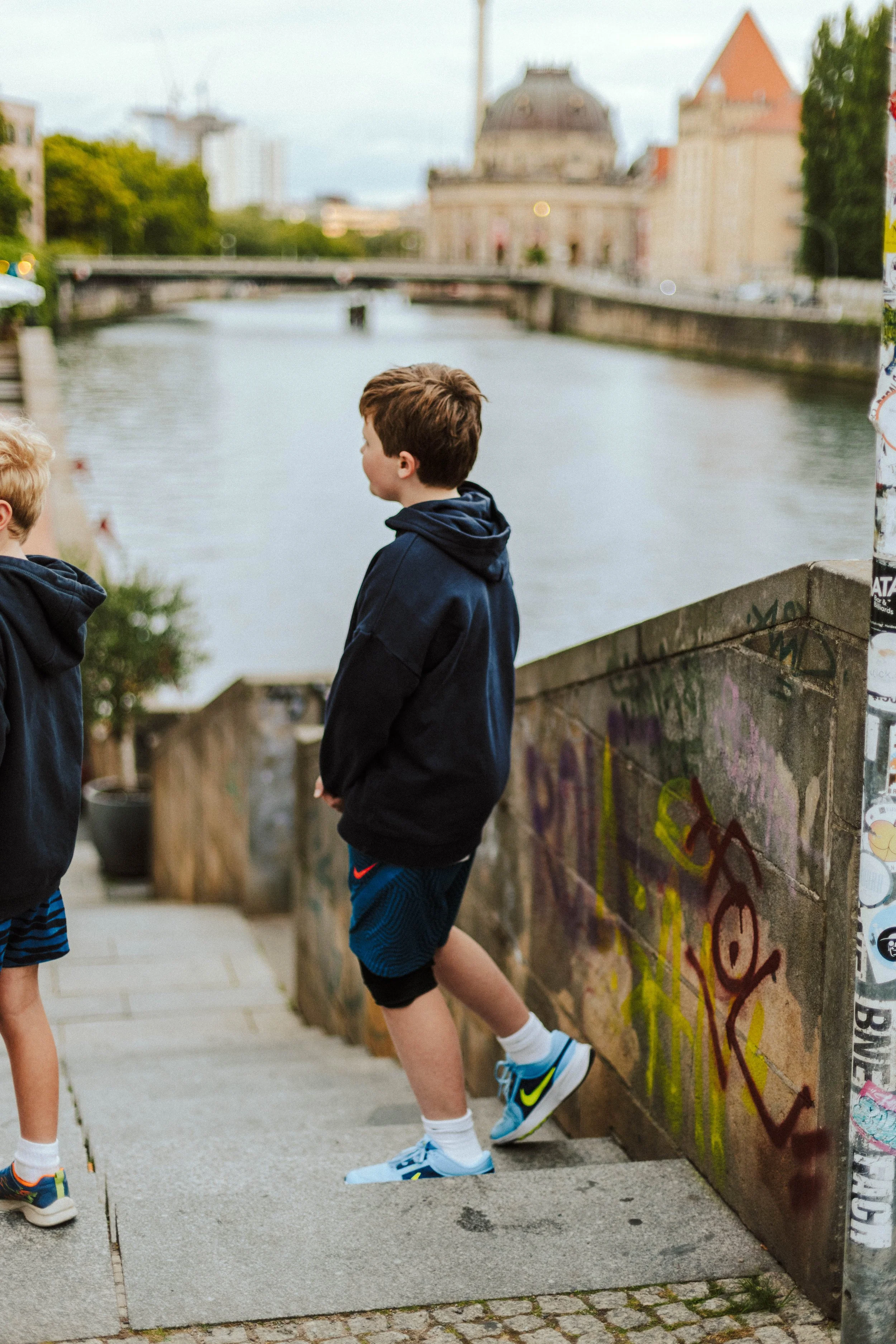 York family photographer 