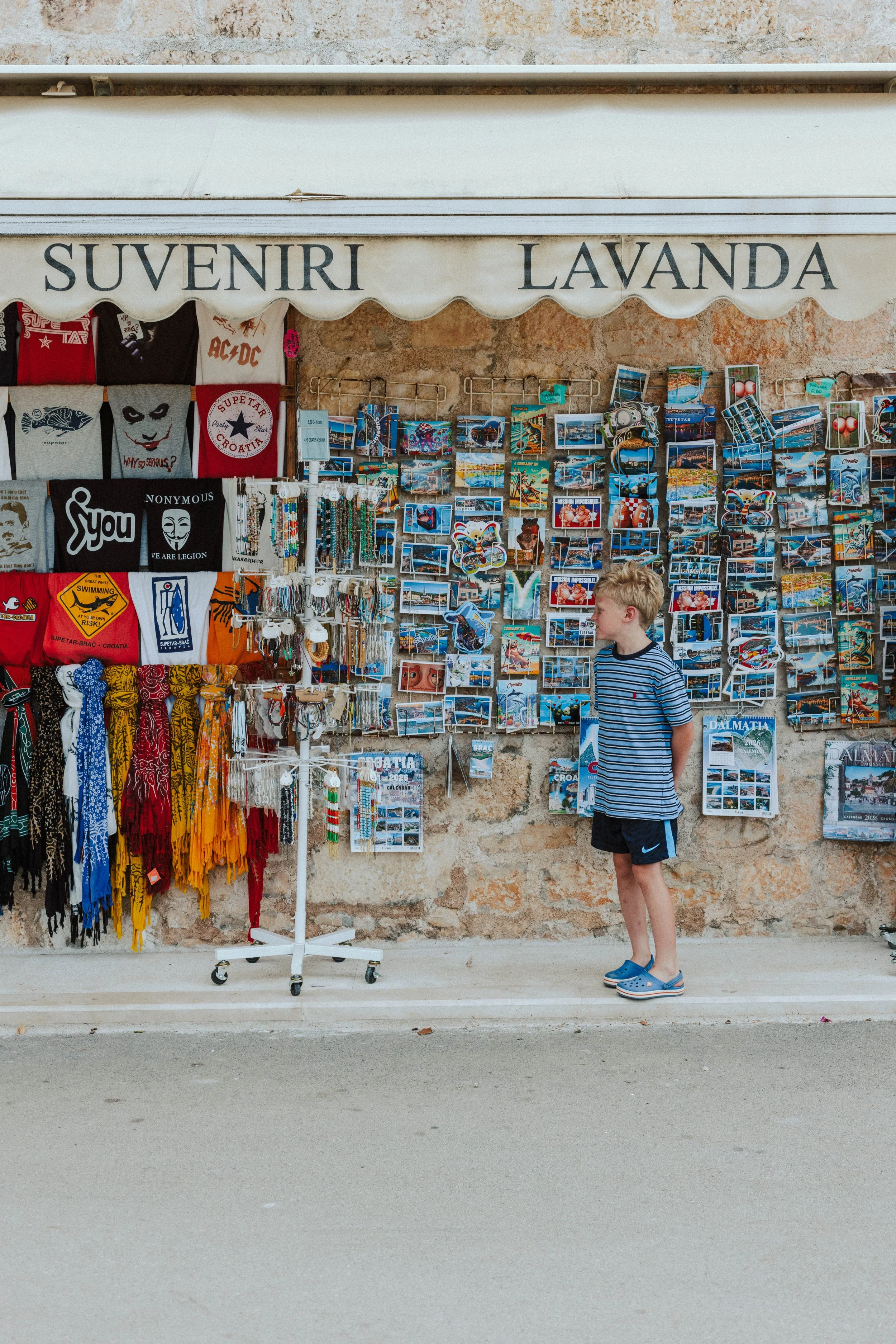 York family photographer 