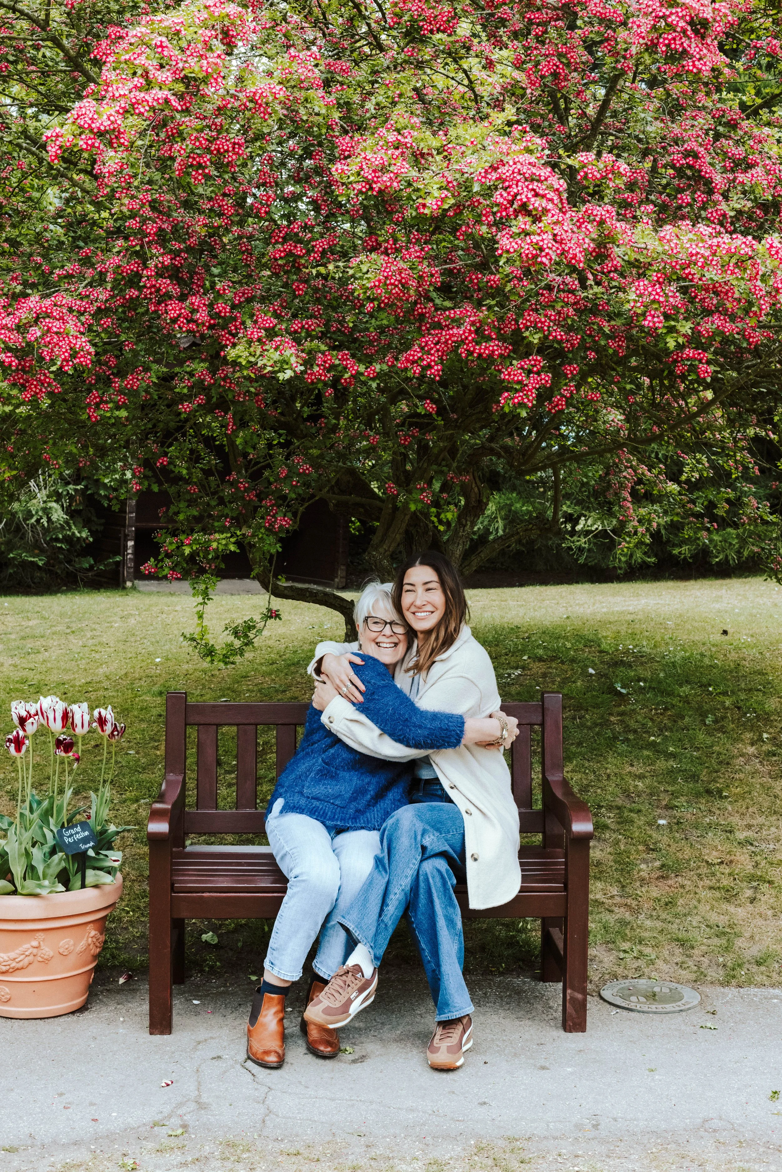 York family photographer 