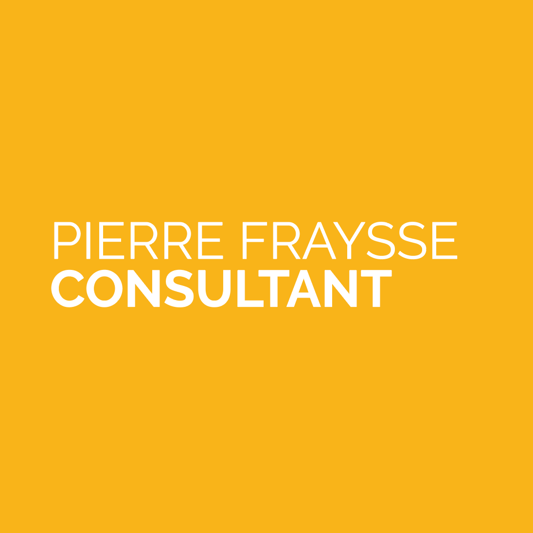 PIERRE FRAYSSE CONSULTANT