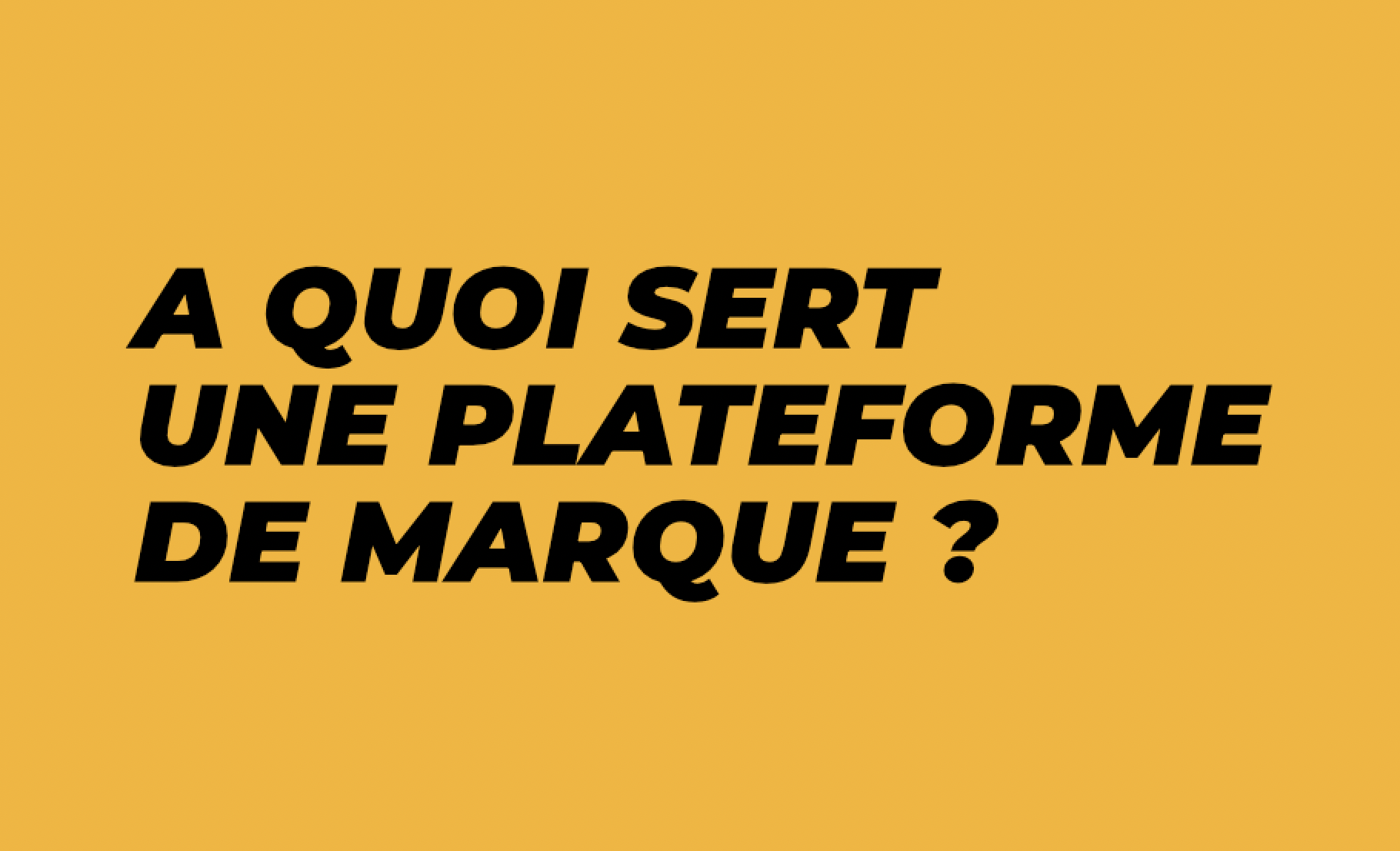 A QUOI SERT UNE PLATEFORME DE MARQUE ?