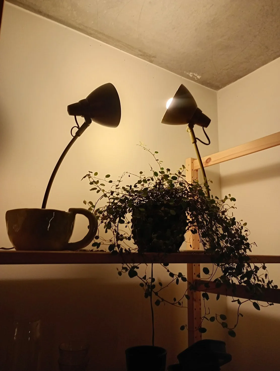 Prenzlauerberg Berlin