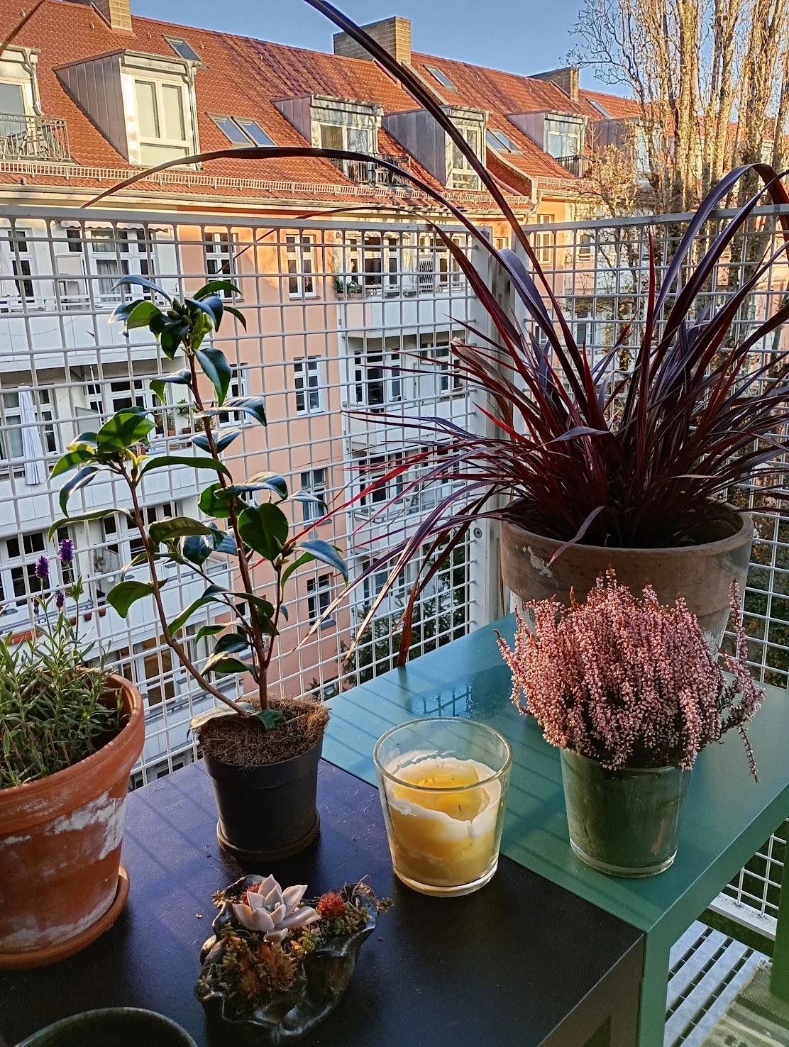 Prenzlauerberg Berlin