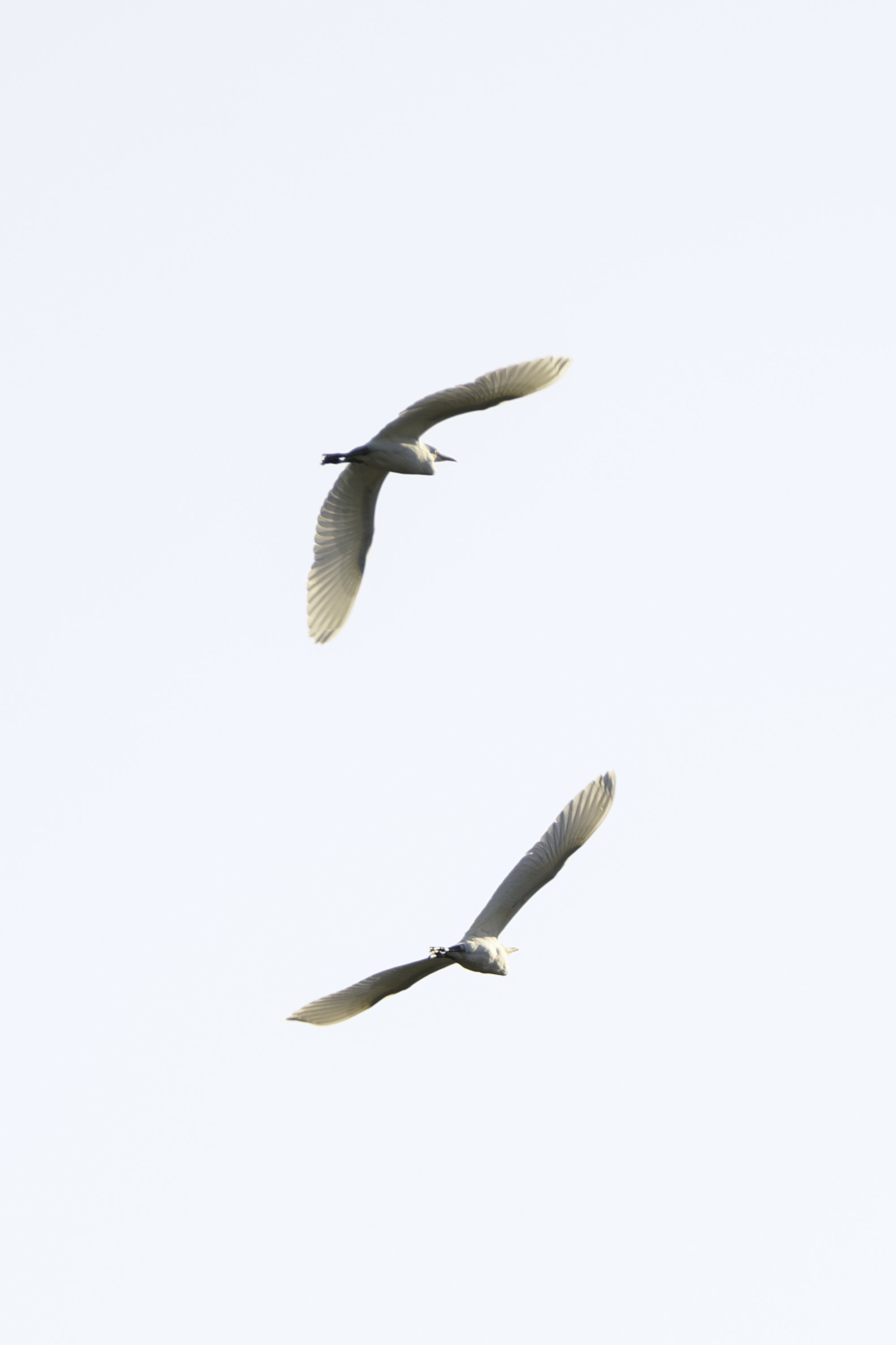 FXT37624-Migliorato-NR-Modifica.jpg