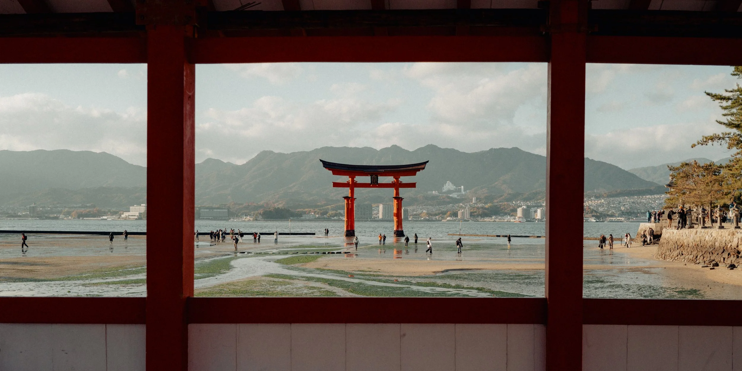 L1040744.jpg