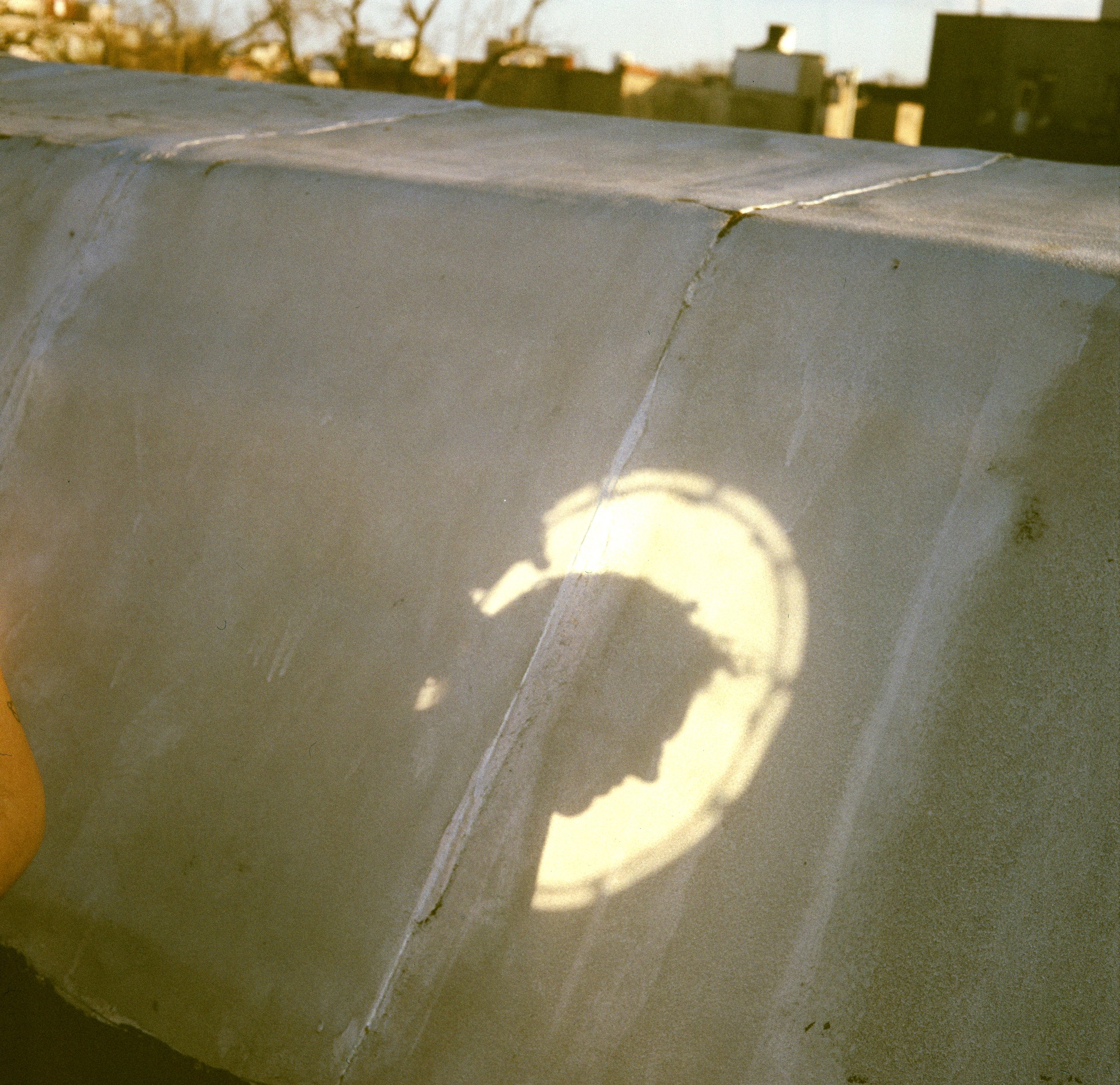wtlc-78.jpg