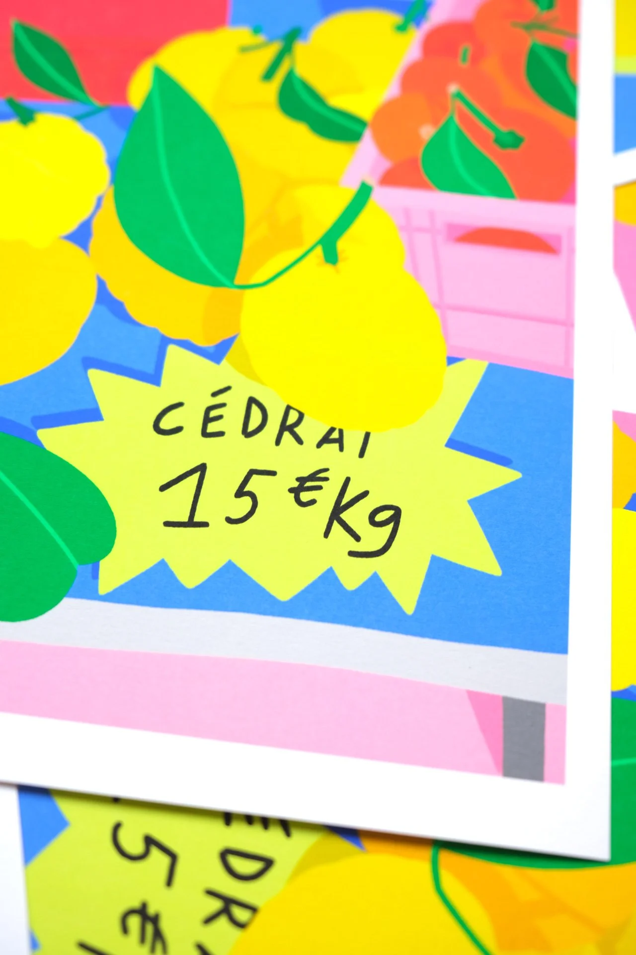 les-cedrats-tirage-art-encres-pigmentaires-zoom-ateliermio-2.jpg