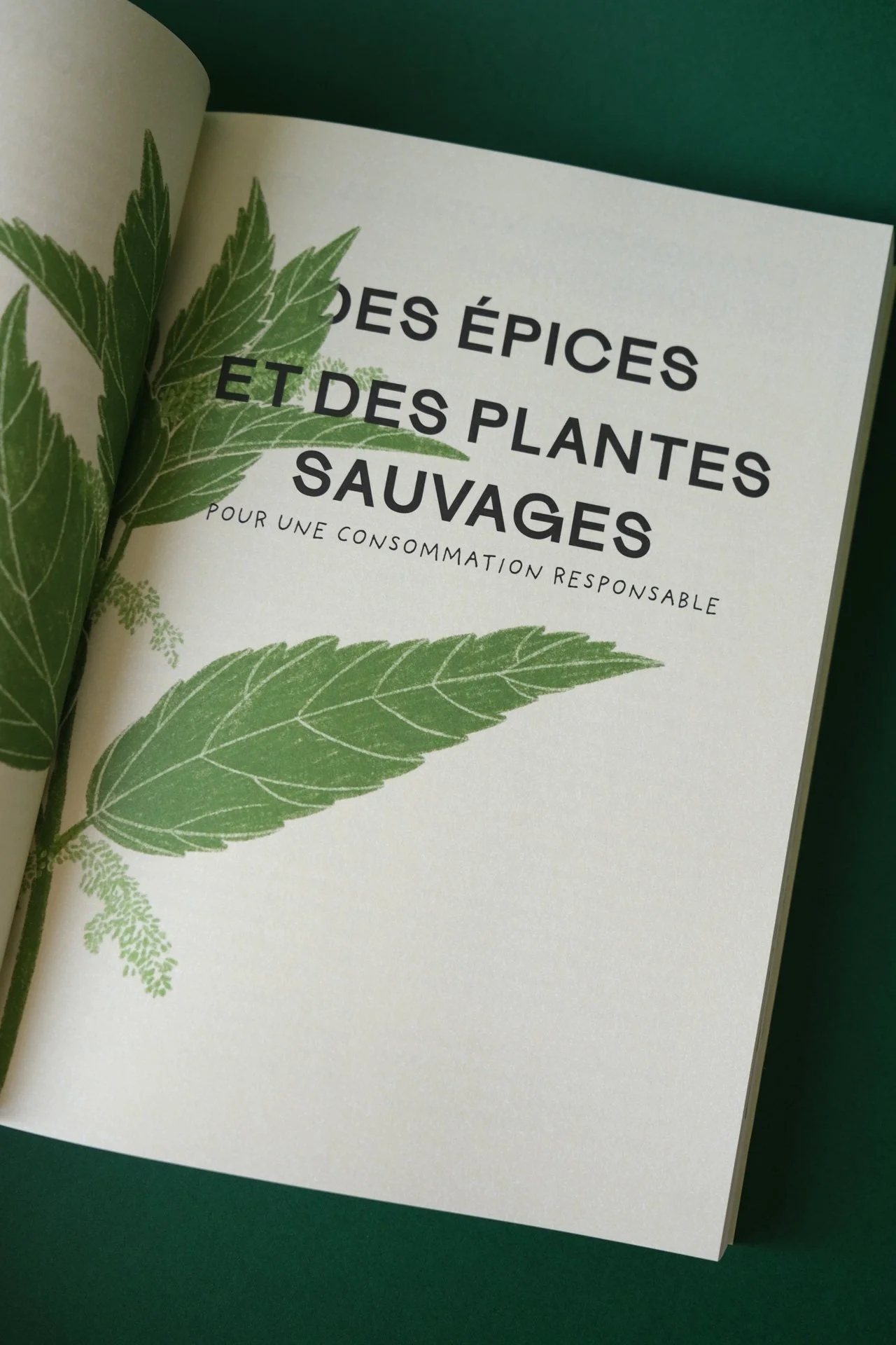 cuisine-des-mauvaises-graines-Flammarion-pages-interieures-ouverture-ateliermio©.jpg