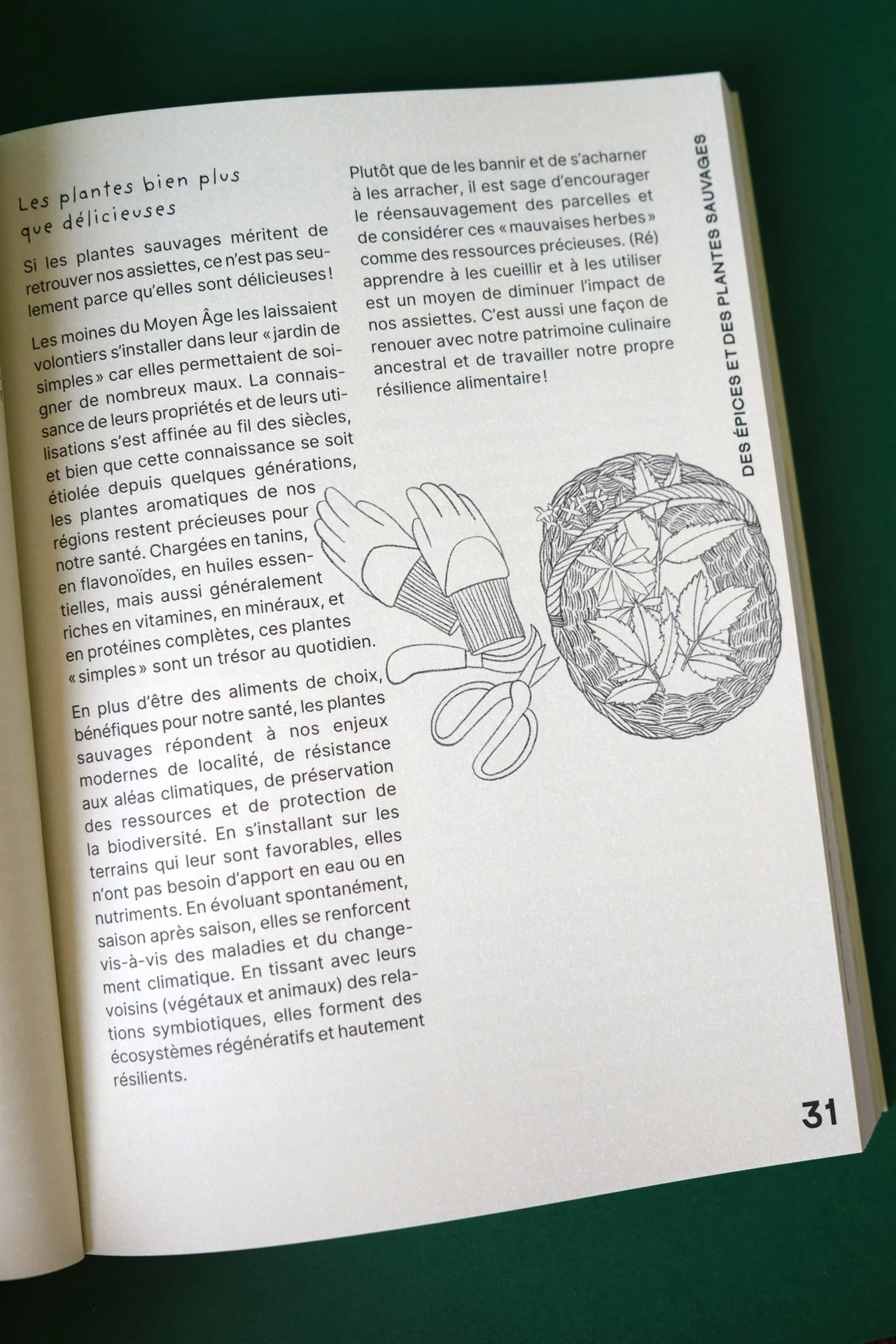cuisine-des-mauvaises-graines-Flammarion-pages-interieures-introduction-ateliermio©.jpg
