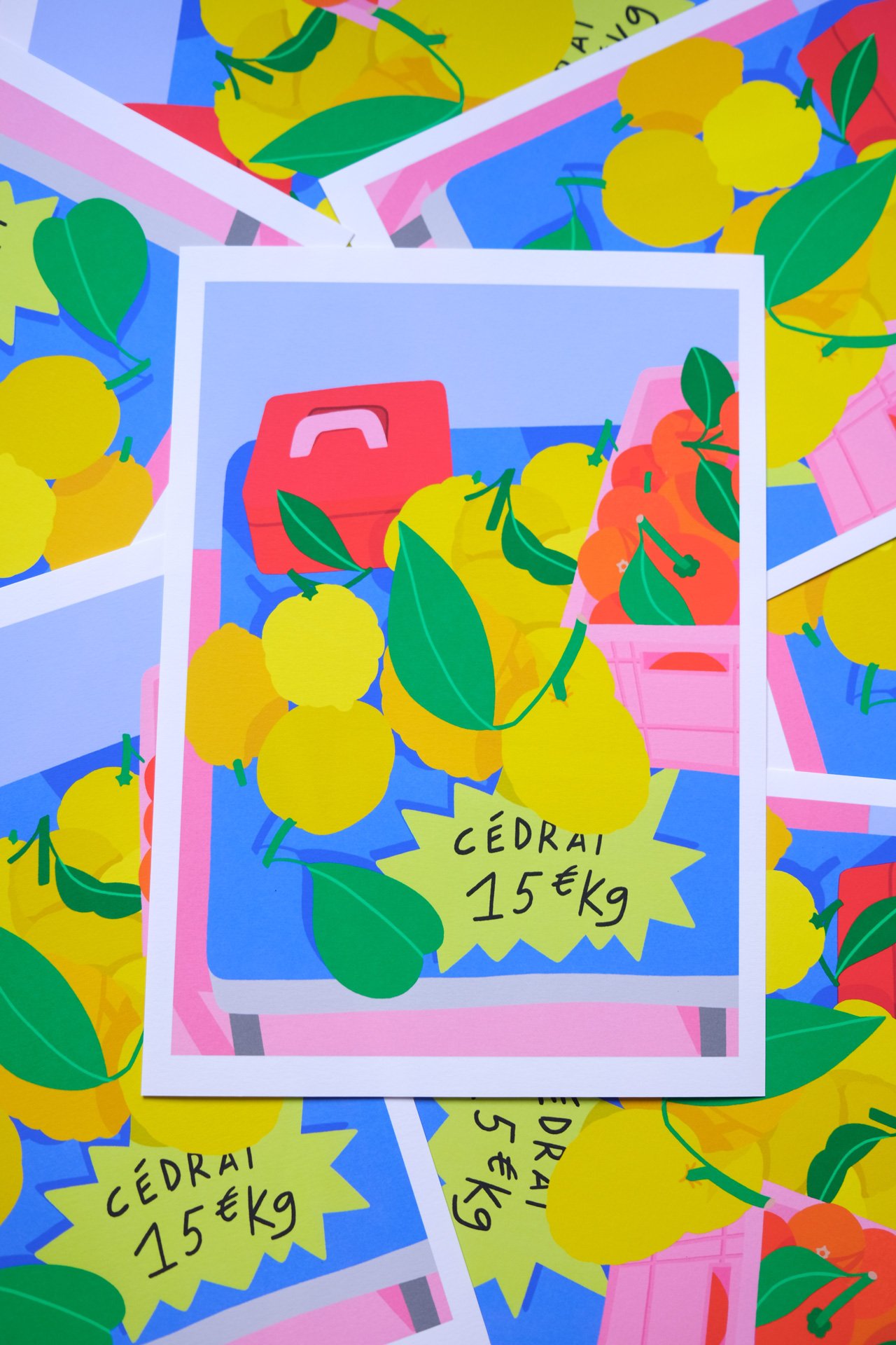 Les cédrats • Tirage d'Art 2 formats