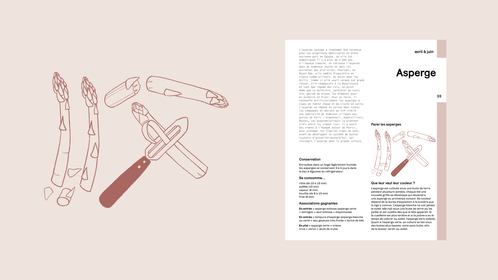 ateliermio-illustrations-digitales-pages-interieures-Labonnecuisinedeslegumes.gif
