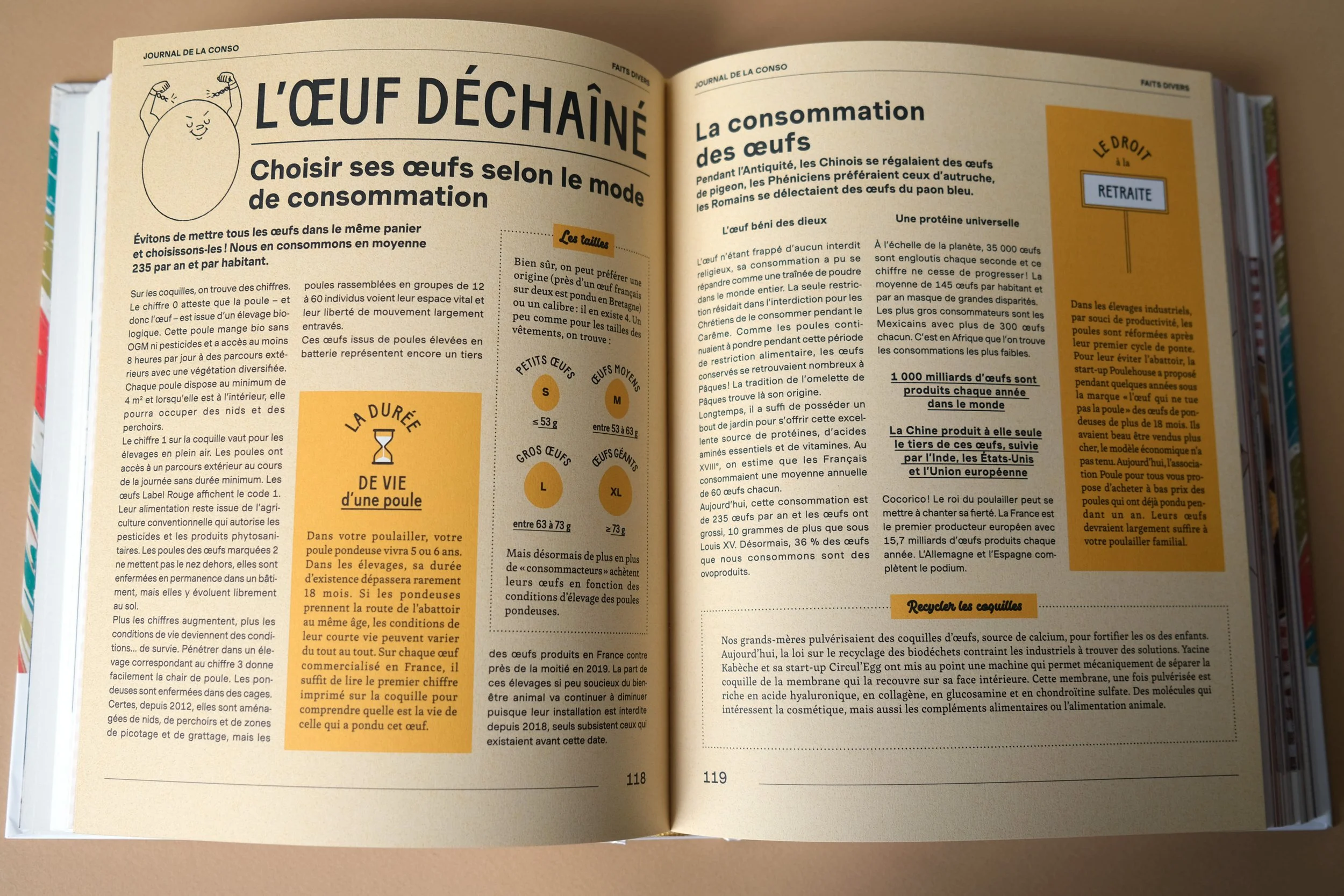 bon-savoir-basse-cour-livre-first-DA-double-interieur-journal-oeufs-3.jpg