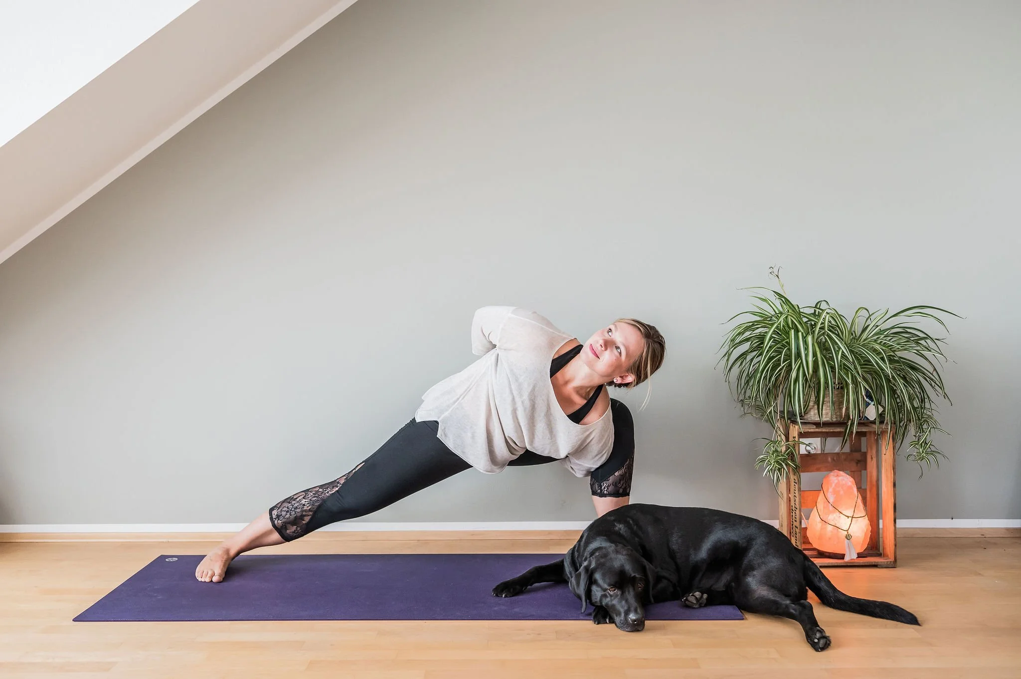 Egal ob Rückenyoga, Balance Yoga oder Sanftes Morgen Yoga - diese Hatha Vinyasa Klassen bieten für jedes Level und körperlichen Schwerpunkt eine angenehme Praxis.