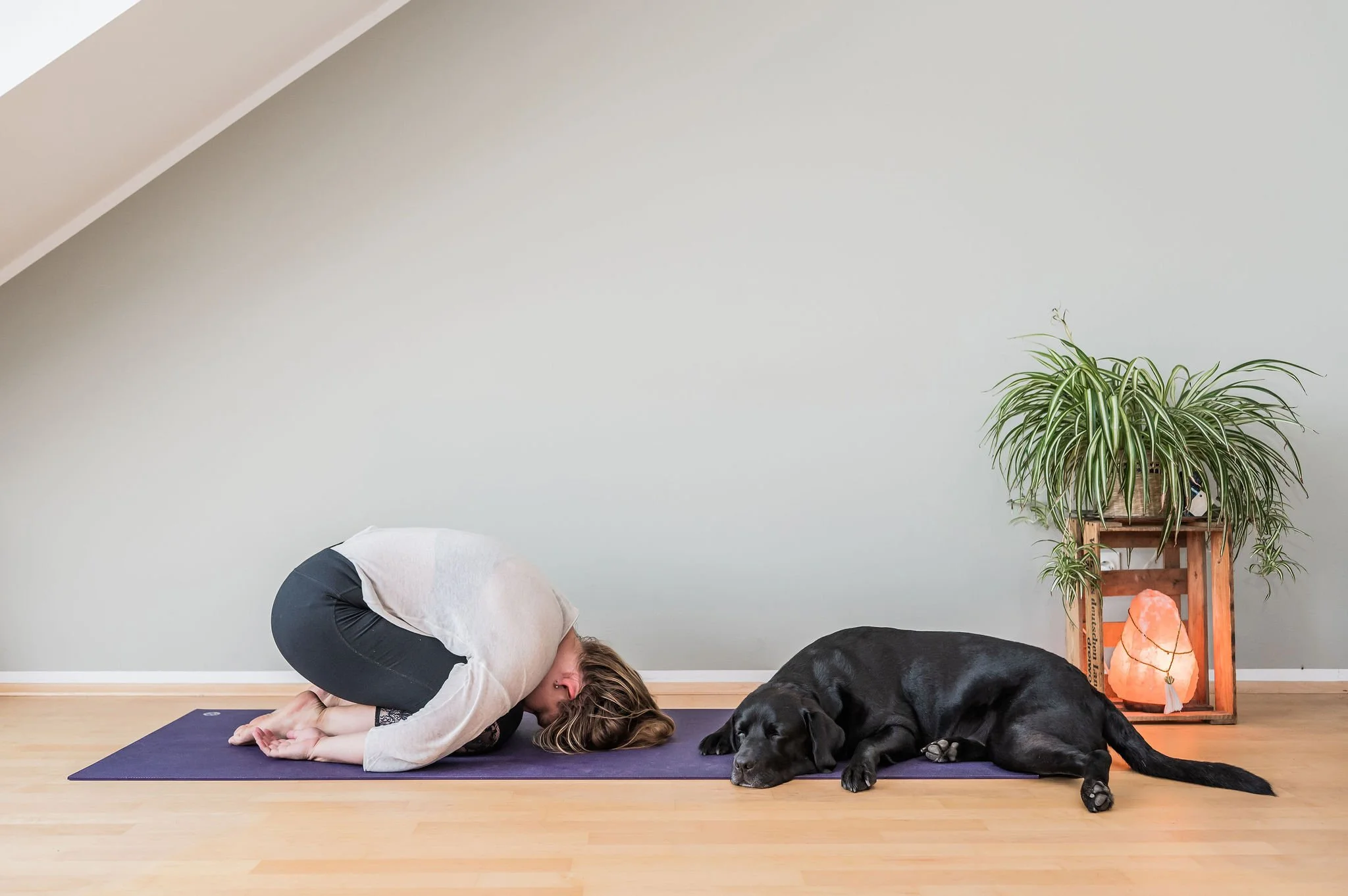Yin Yoga ist ein regenerativer Stil und ideale Ergänzung zu einem sportlichen oder Ashtanga-basierten Leben. Tiefe Dehnungen und Ruhe.