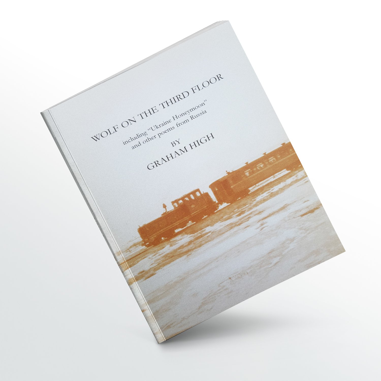 Wolf on The Third Floor