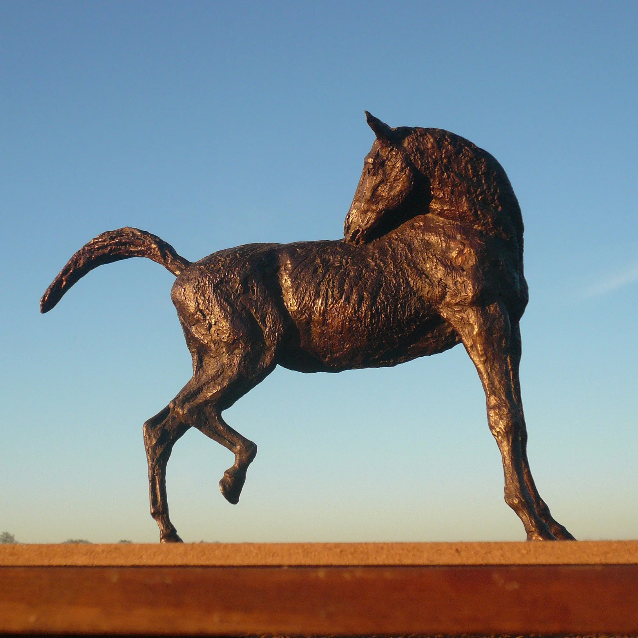 PREENING HORSE 04.JPG