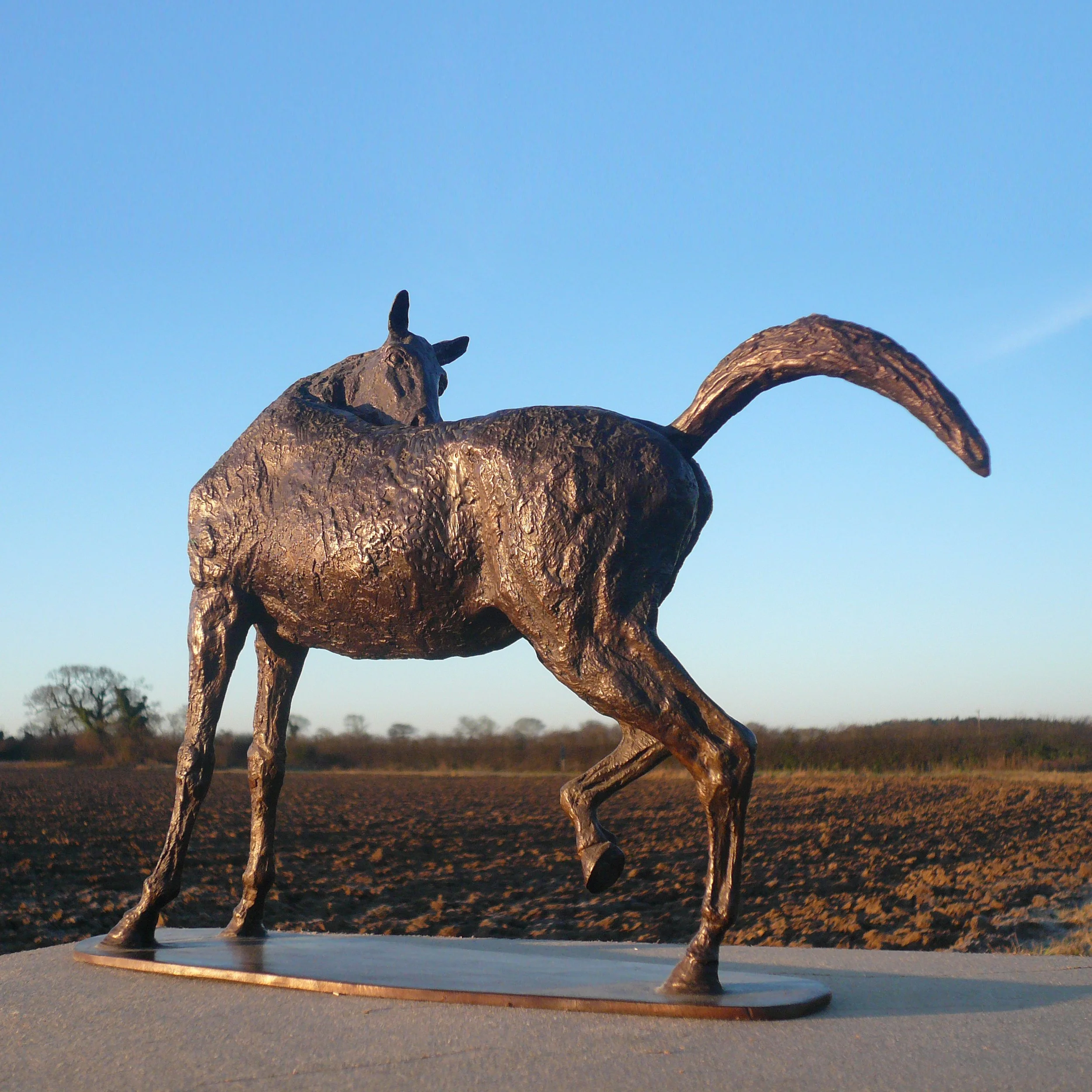 PREENING HORSE 2.JPG
