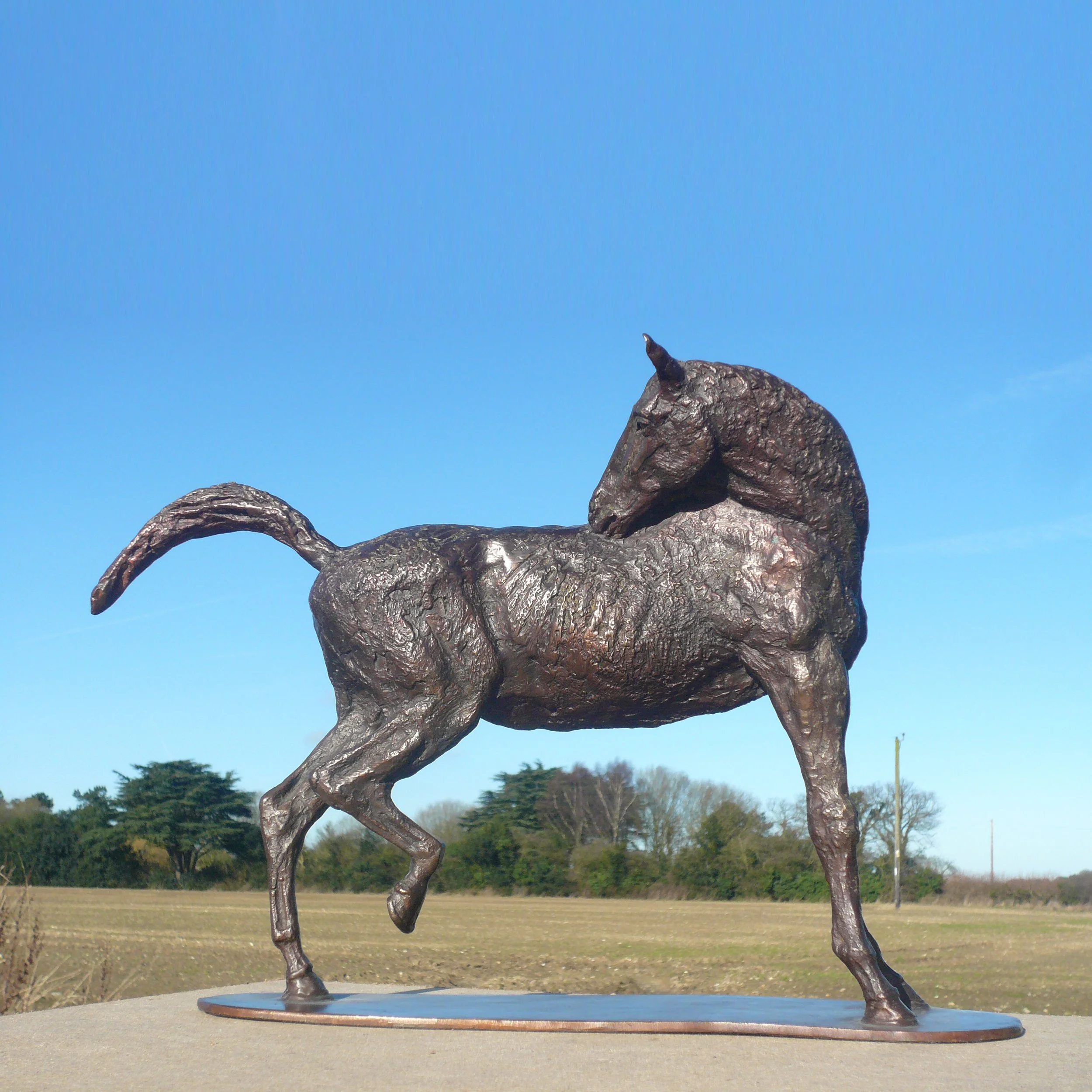 PREENING HORSE 3.JPG