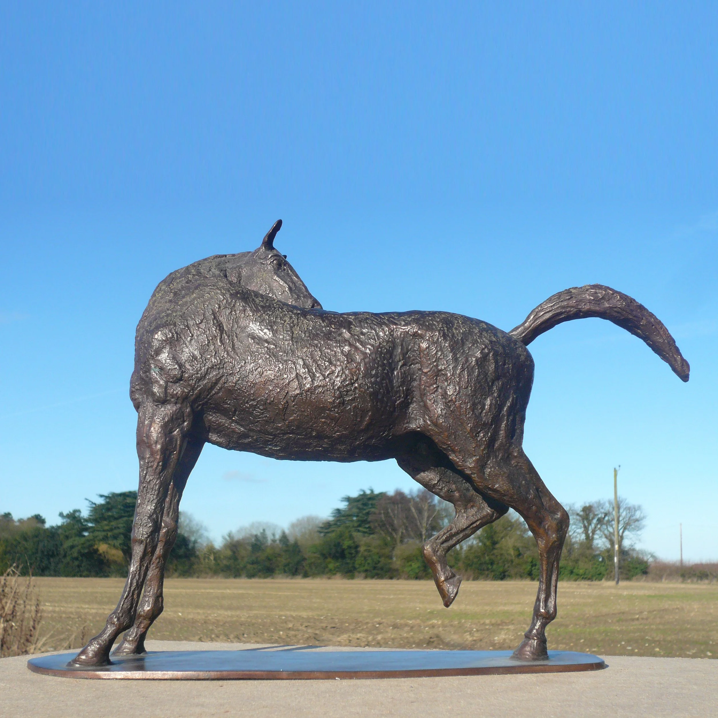 PREENING HORSE 4.JPG