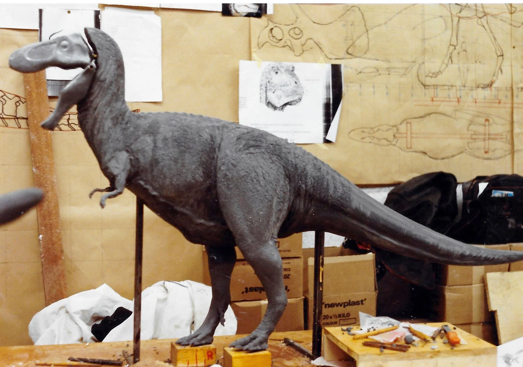 Dinosaurs — Graham High