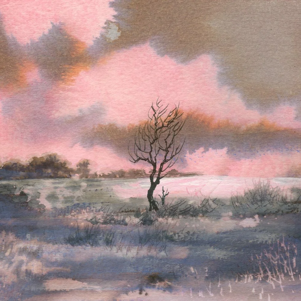 5  NORFOLK SUNSET TWO TREES copy.jpg