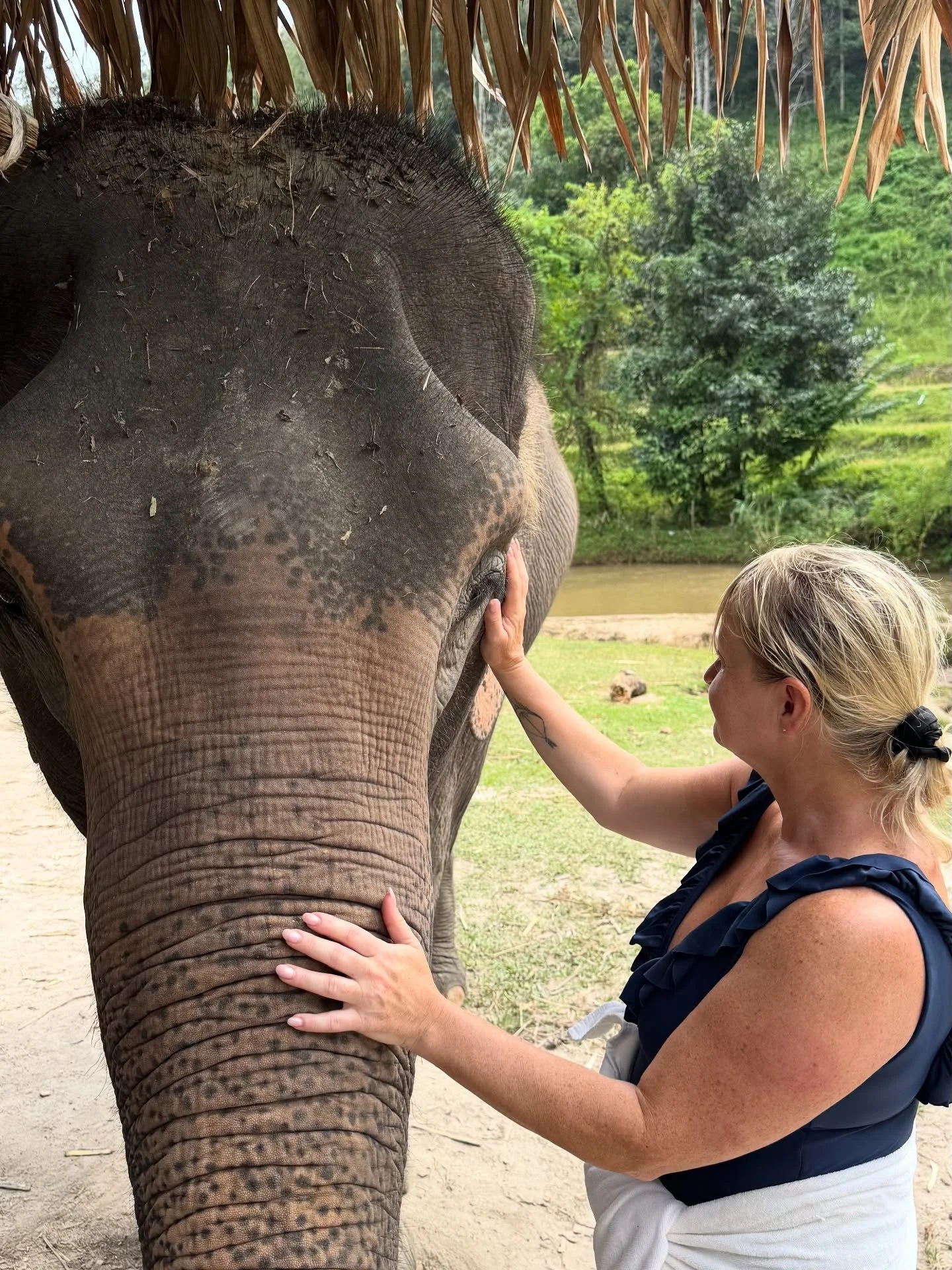 Por-Tu whispered to me &ldquo;This is what trust feels like.&rdquo; ❤️ 

This wonderful animal allowed me to be fully present with her in Thailand recently. 🐘 

Can you feel the emotions through this photo that captures so beautifully, a moment in t