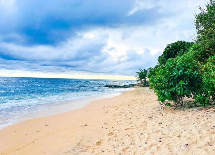 4 weeks today, I&rsquo;ll be setting off for Sri Lanka with a small group of amazing soulful women, ready to open their heart to love and adventure together. 🌊❤️

The powerful healing energies gifted to me in October on my visit to the island, will 