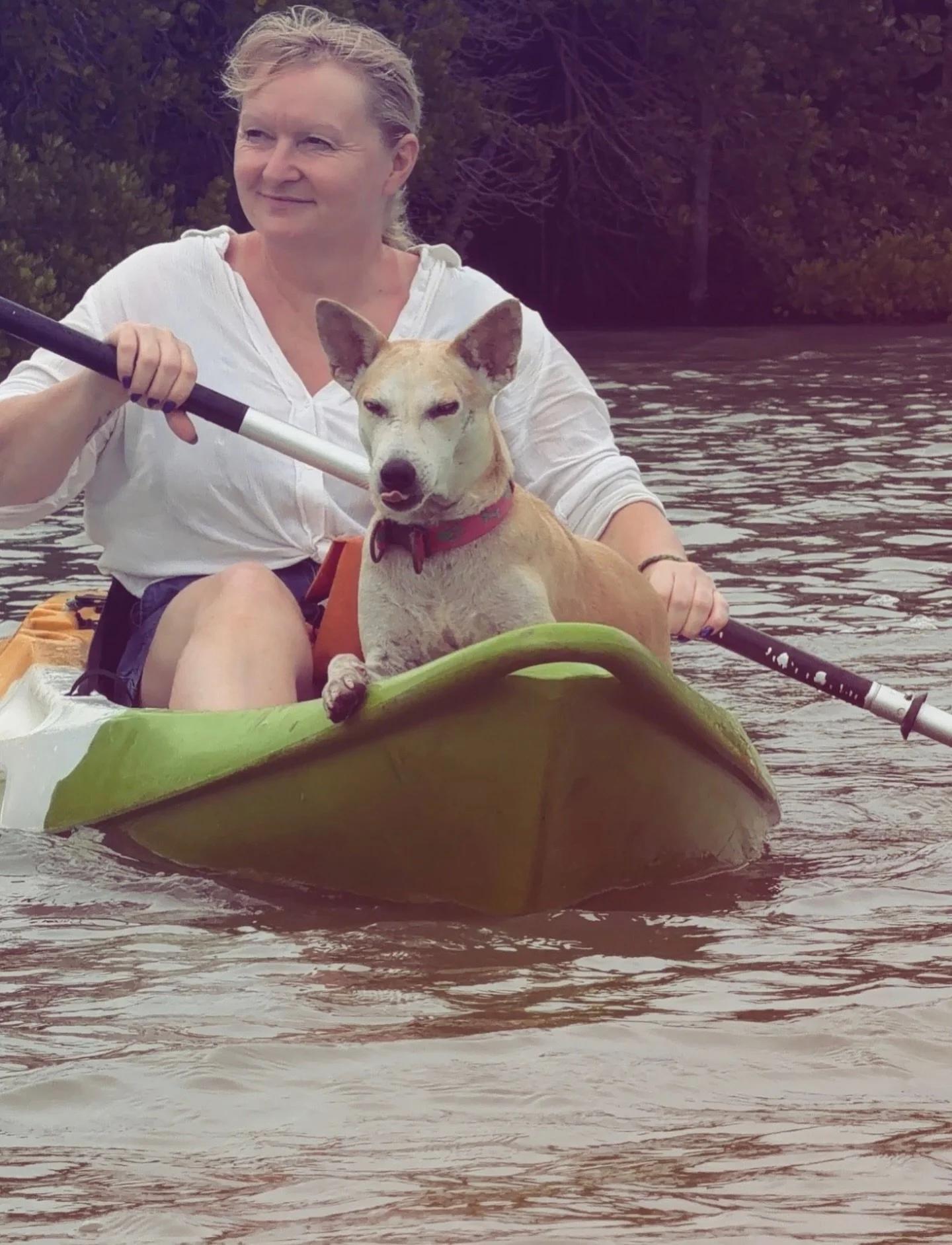 🌊 The air is warm. The waves are steady. 

🐵 And just over the wall, monkeys are climbing through the palm trees as if this is the most ordinary thing in the world!

Seven years ago, this version of my life didn&rsquo;t exist.

Back then, I was exh