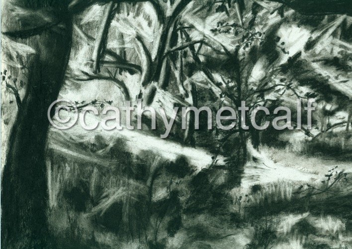 En Plein Air Drawings and Paintings
