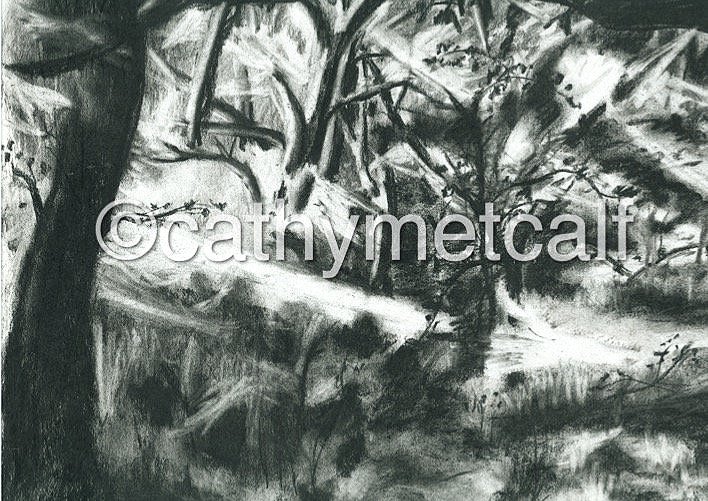 Sunset in Ninnis Woods - Conte on Paper 3x4ft