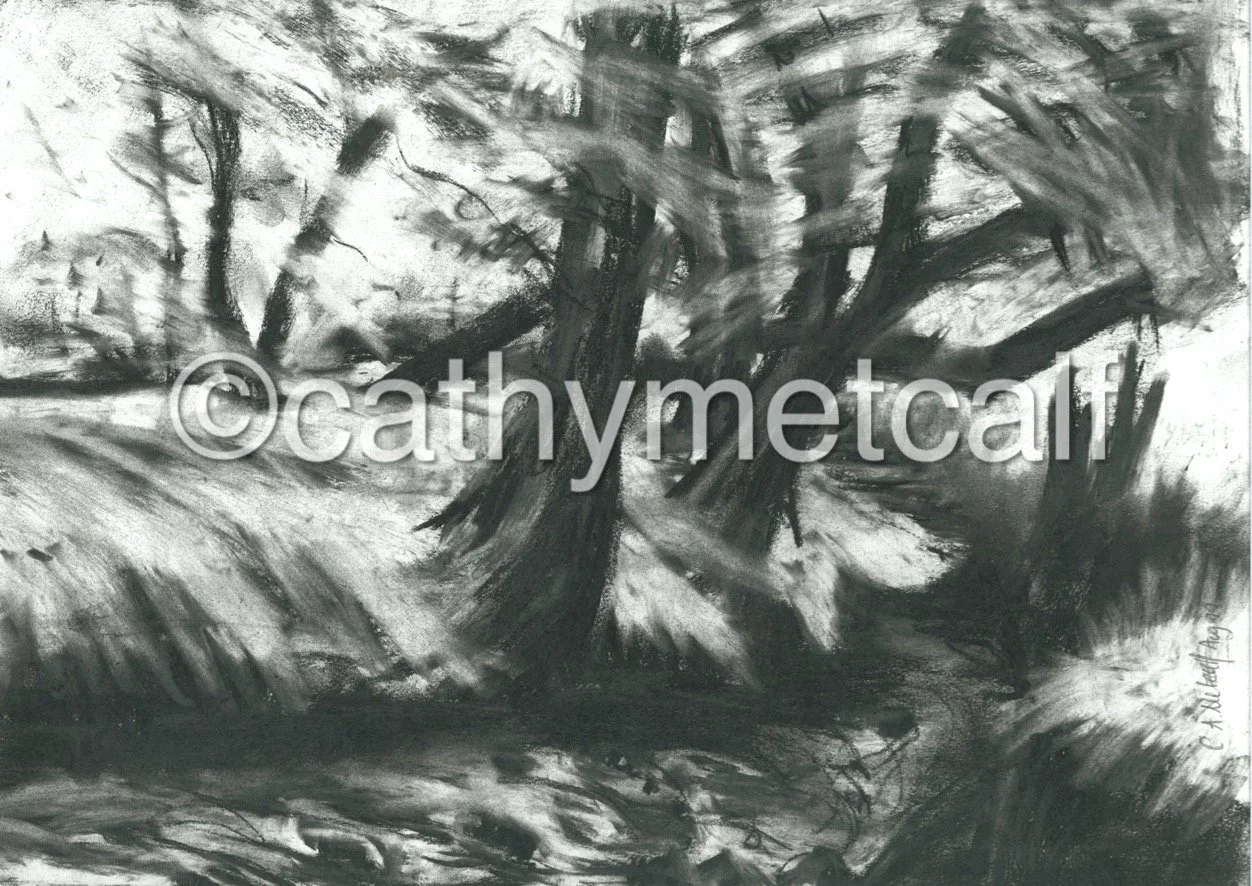 Leaning Trees in Ninnis Woods 2x3ft