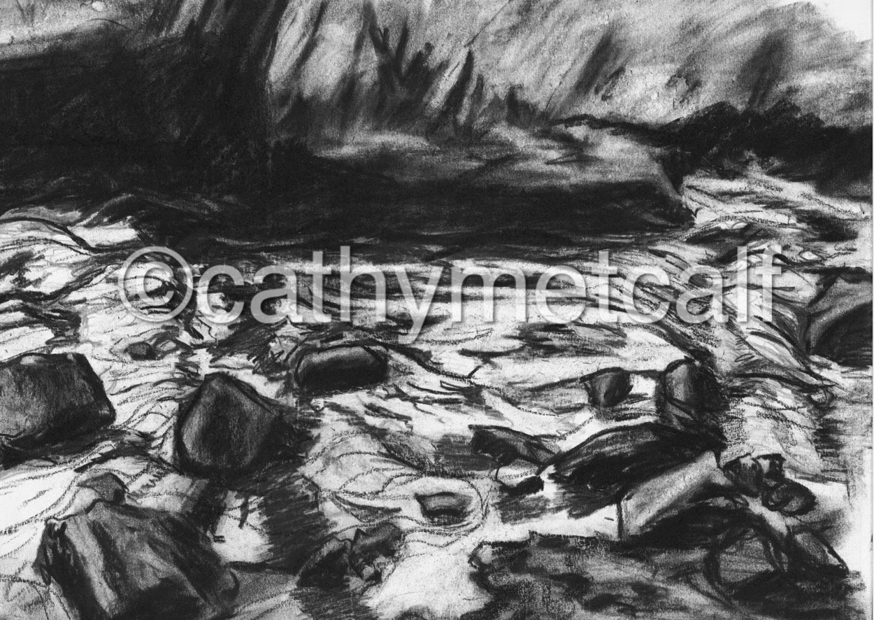 Stream in Ninnis Woods - Conte on Rag Paper 420x297