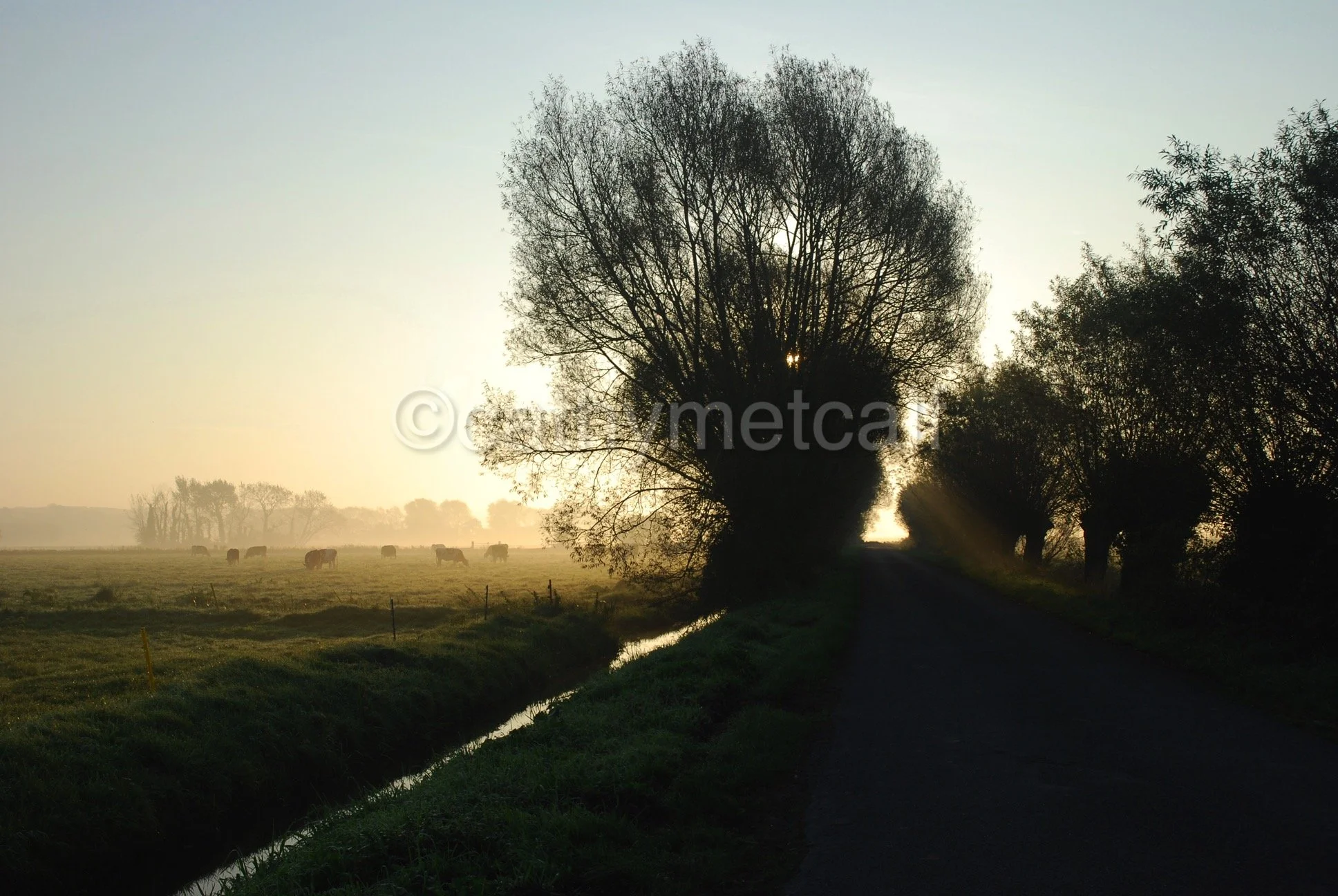 On the Way to Godney - Somerset Levels at Sunrise - 297x210mm