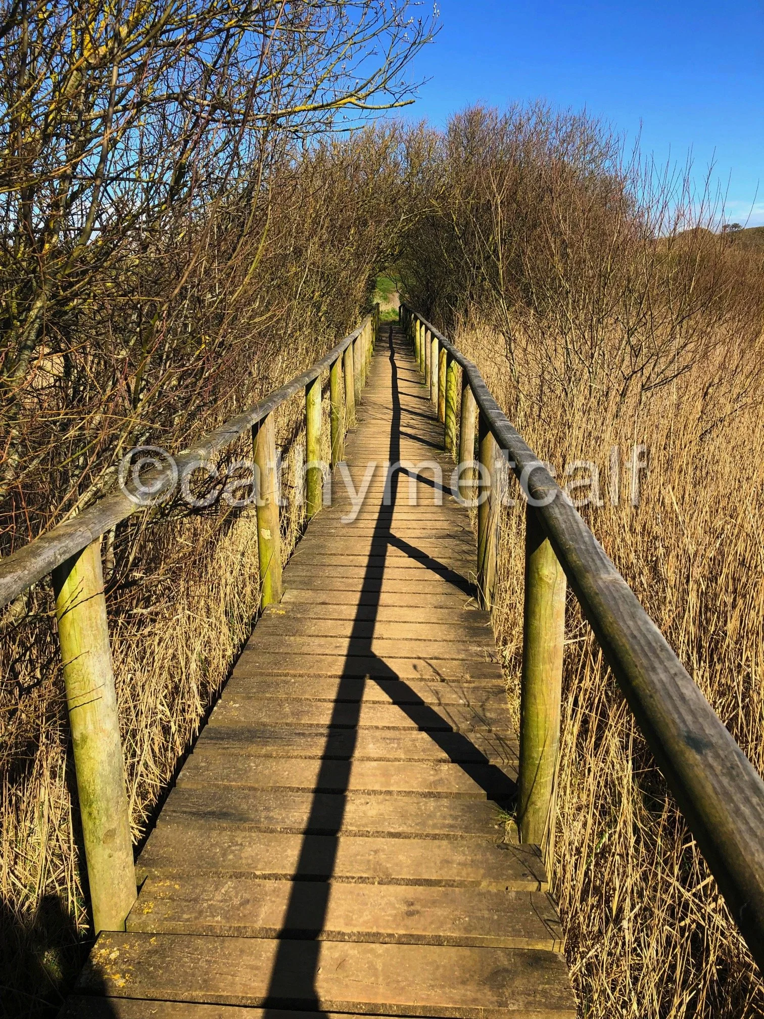 Burnham-on-Sea Dunes - Photography 297x420mm