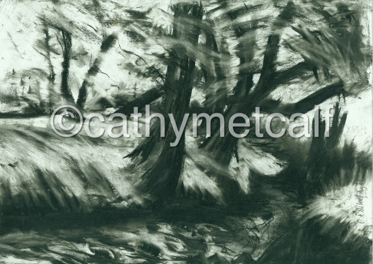 Leaning Tree in Ninnis Woods - The trees were swishing around in the wind and looked like they were going to fall over - Conte on Rag Paper 420x297