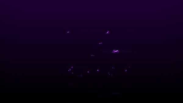 BoLT Going Live Gif.gif