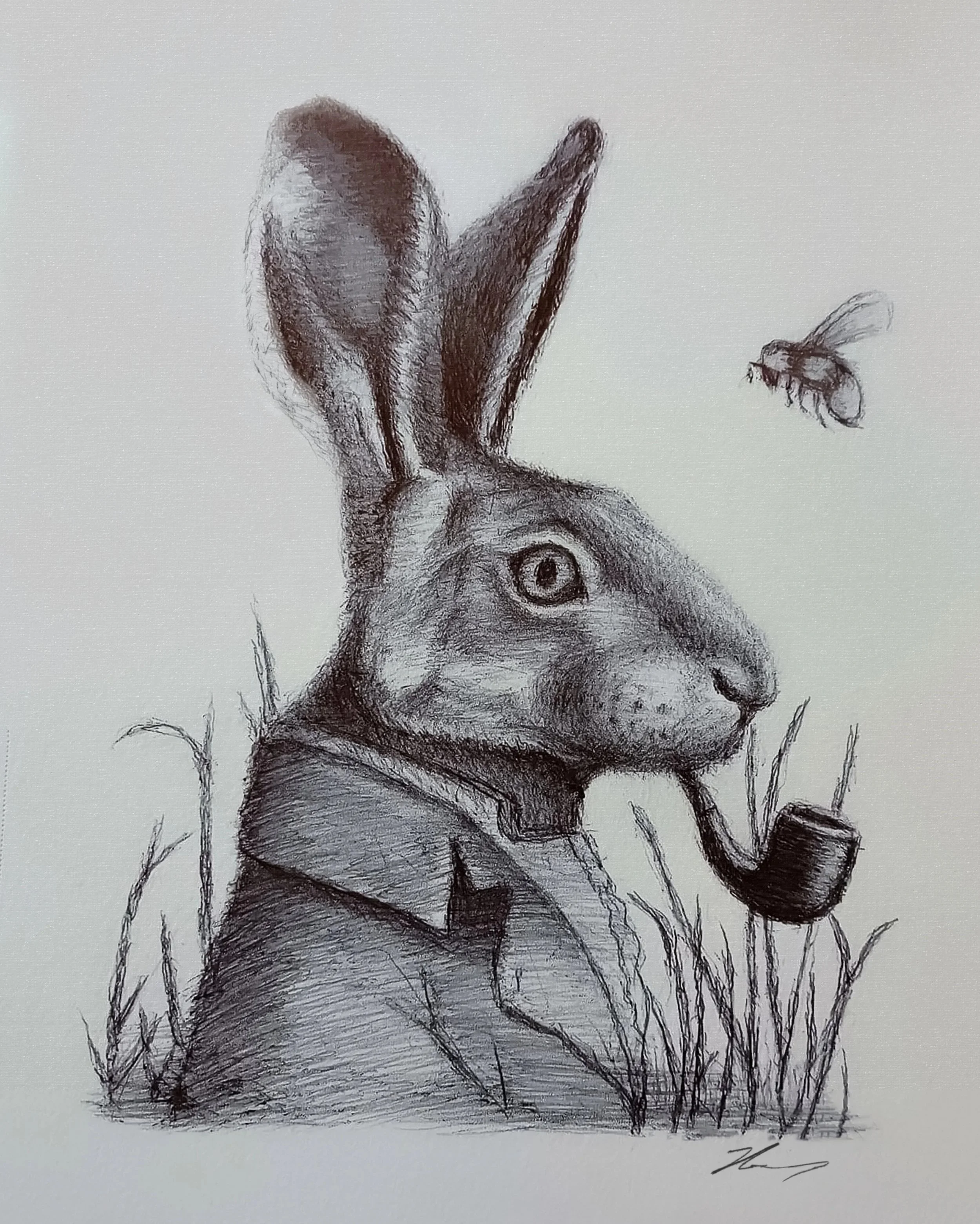 A pencil sketch of a rabbit wearing a jacket, smoking a pipe, with a fly hovering nearby in the grass.