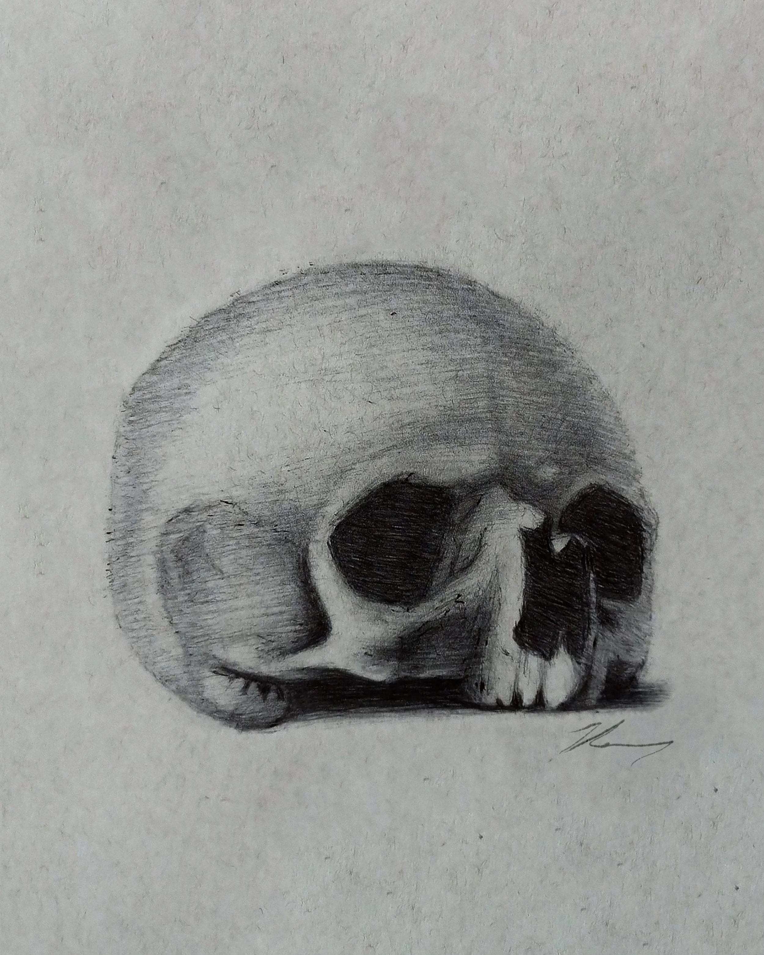 A detailed pencil sketch of a human skull on a white background.