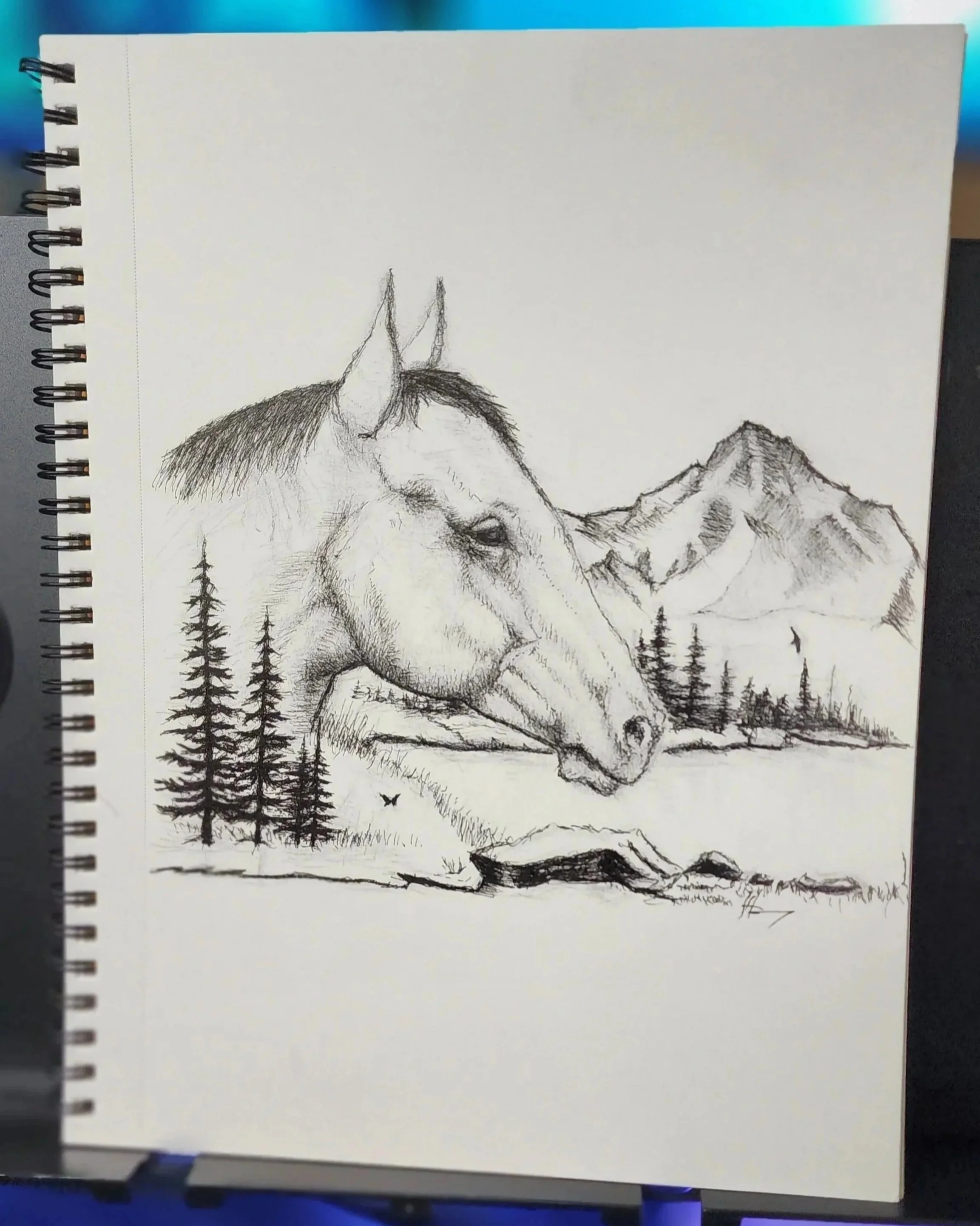 Wild West drawing