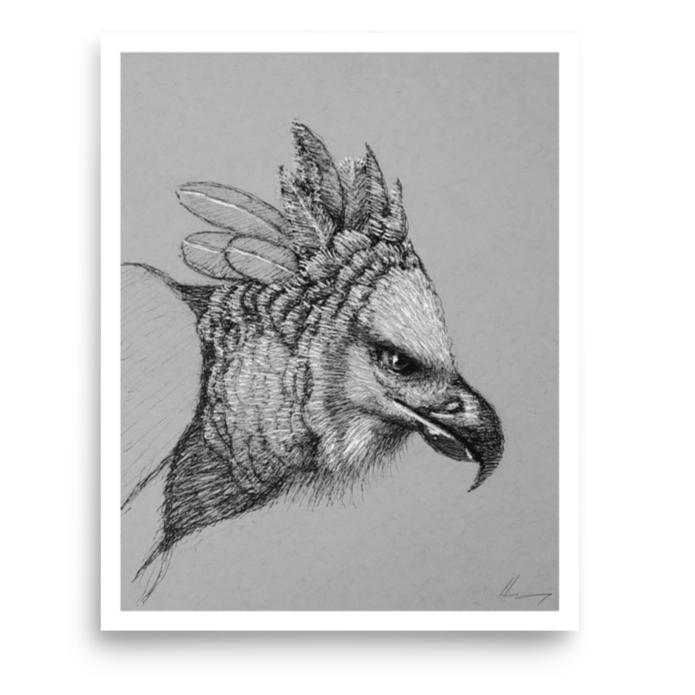 Harpy Eagle 8x10 in. (limited)