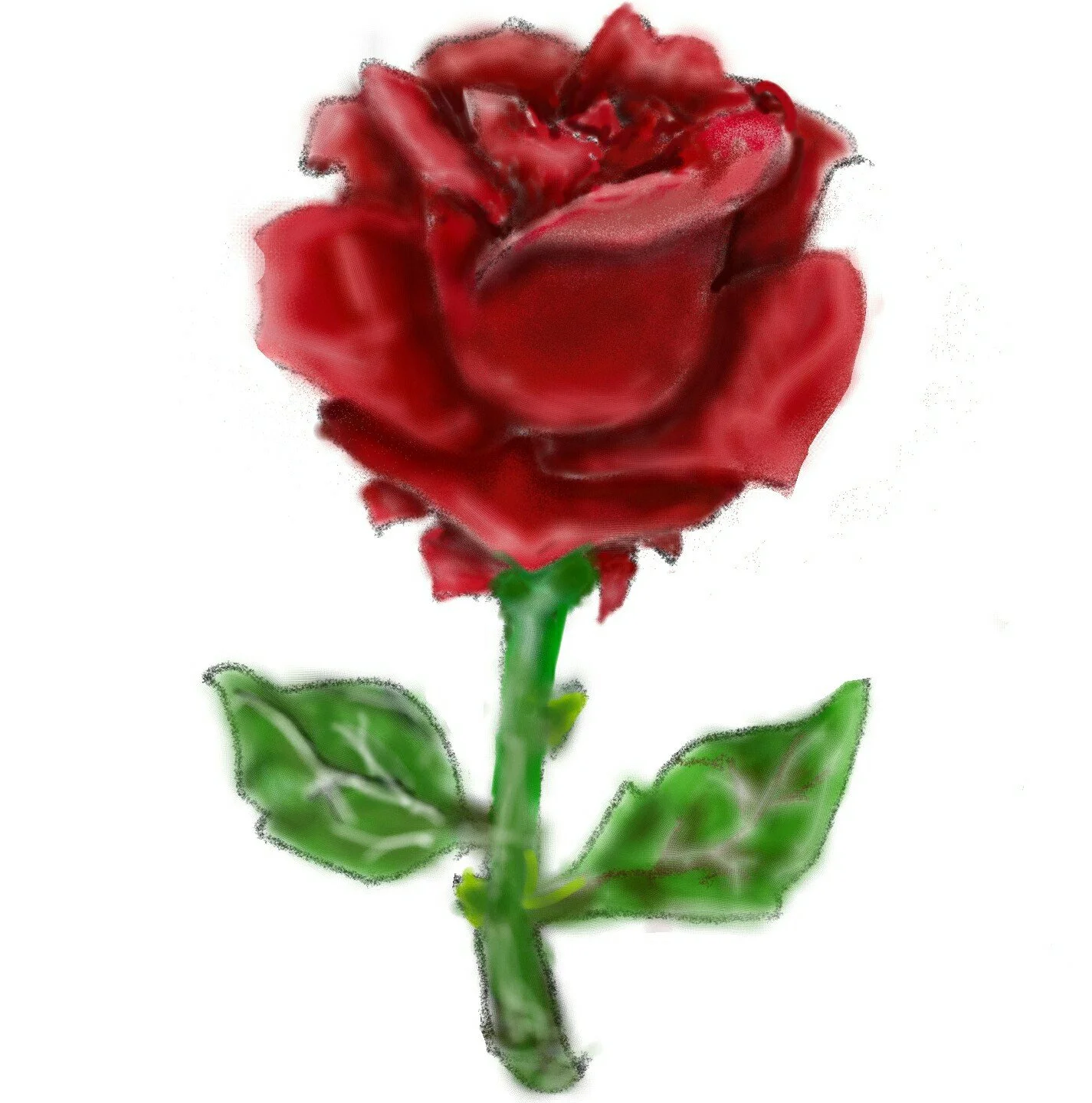 Digital rose painting by paralyzed mouth artist Henry Salas