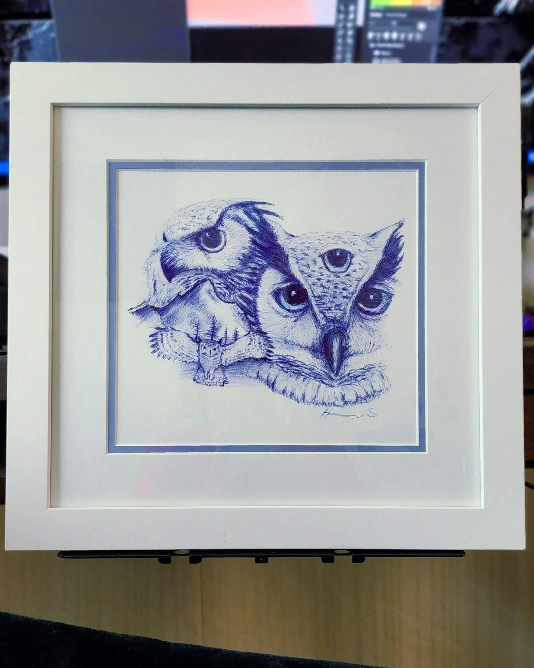 Conscious of Owl (framed)