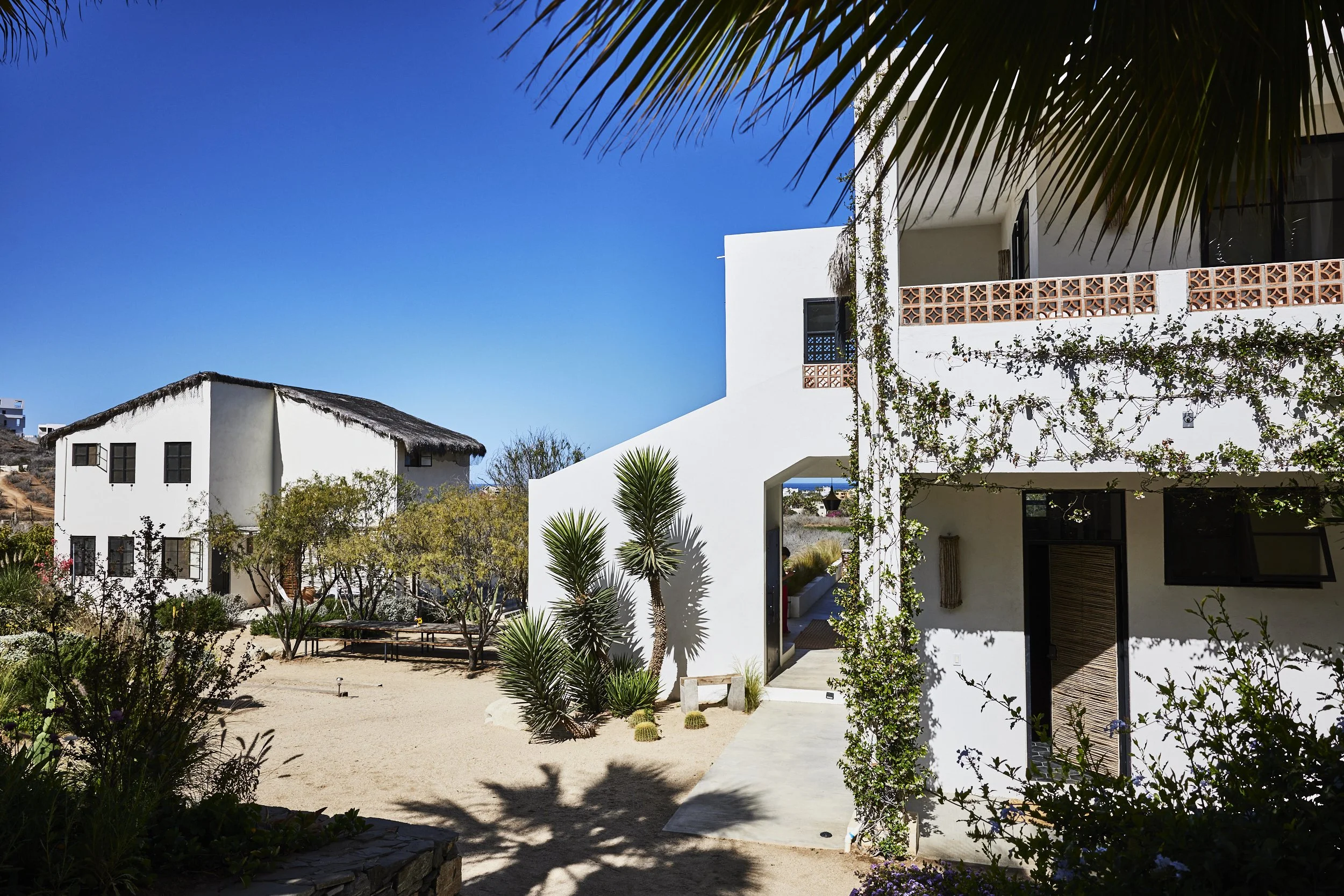 Exteriors_2025_0A5A9717.jpg