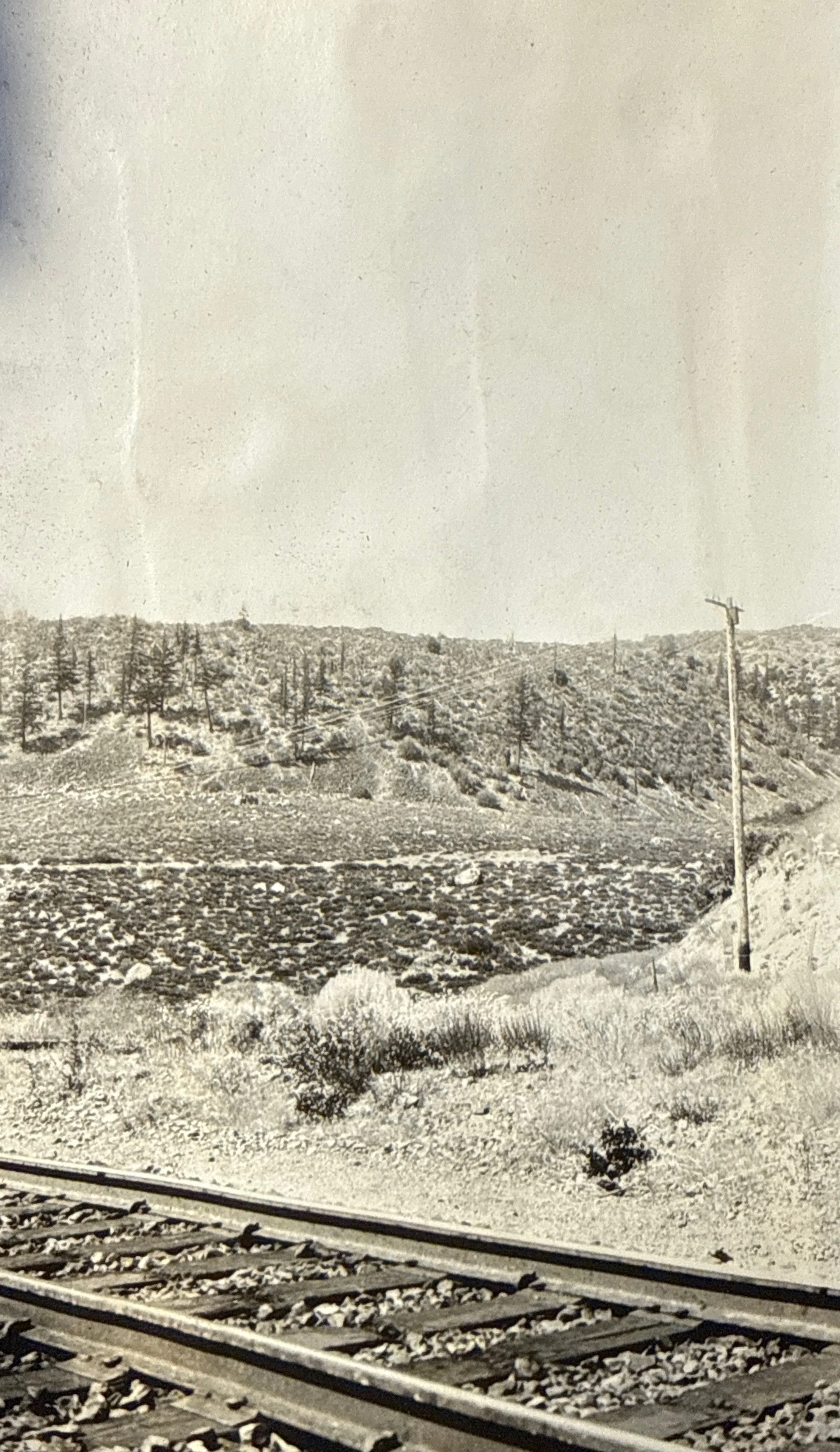 Photomyne_072.jpg
