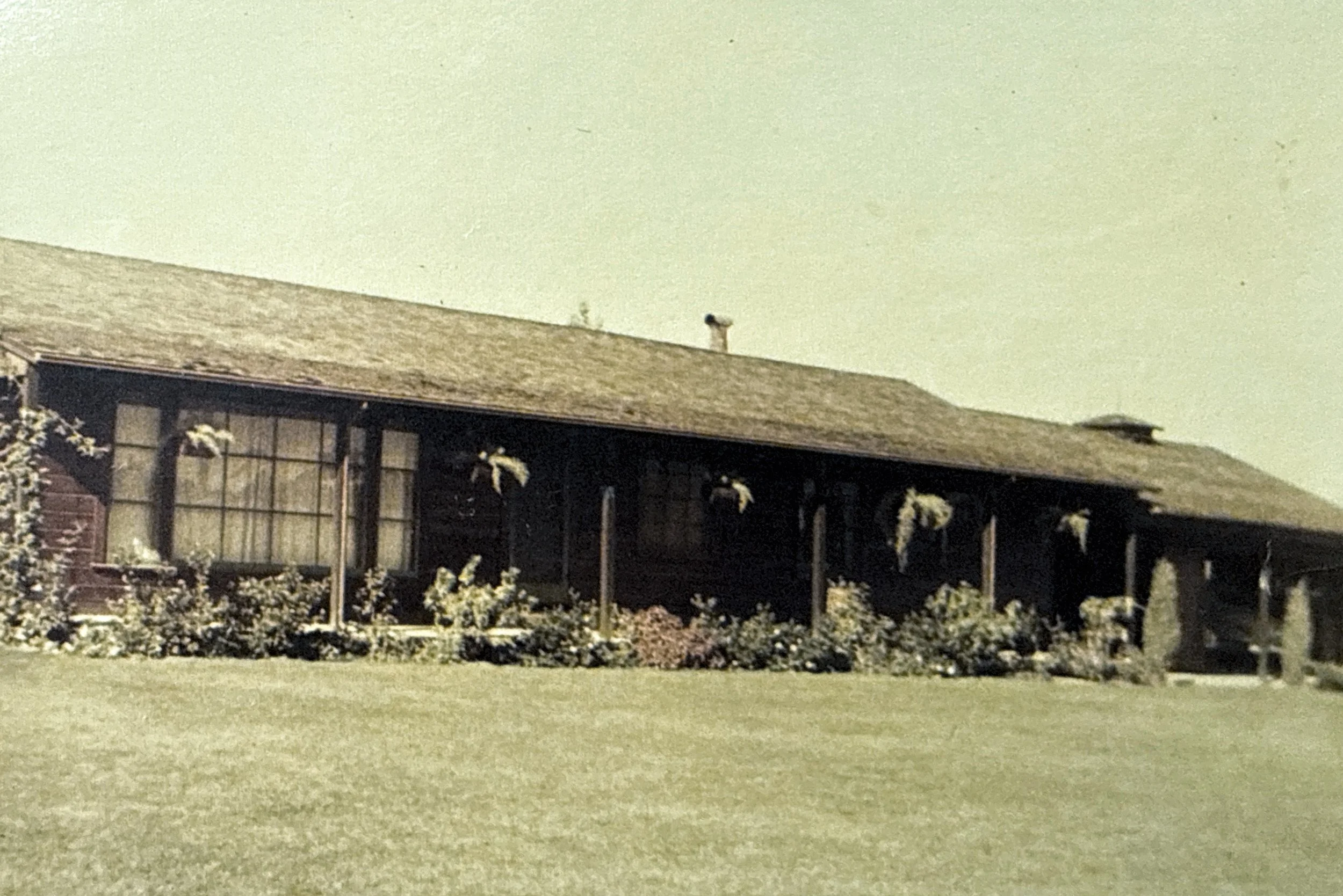 Photomyne_051.jpg