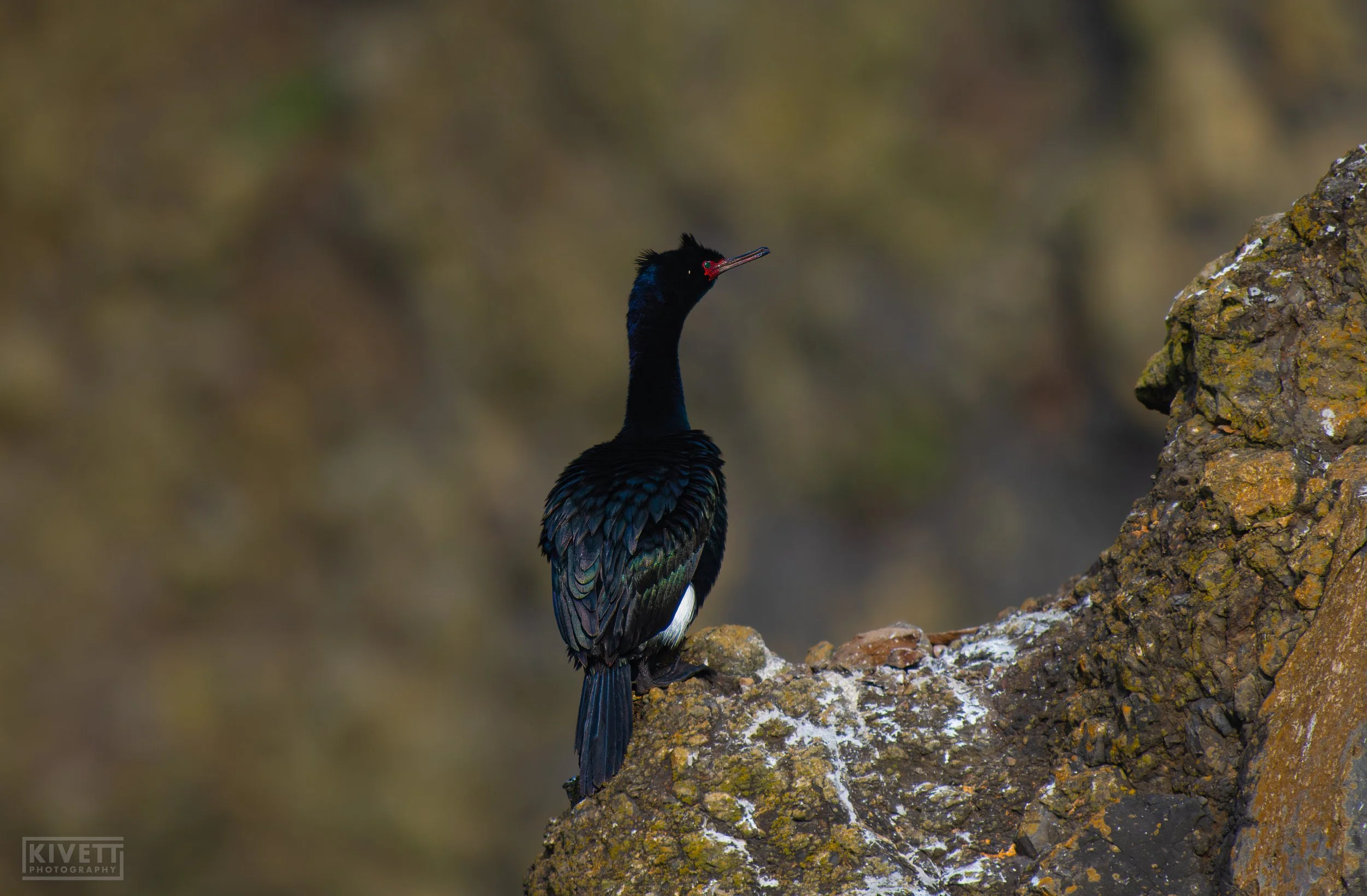 DSC_0562-topaz-sharpen.jpg
