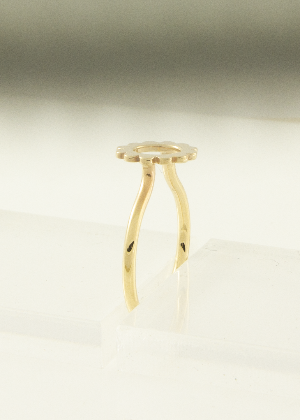 ring 04.png