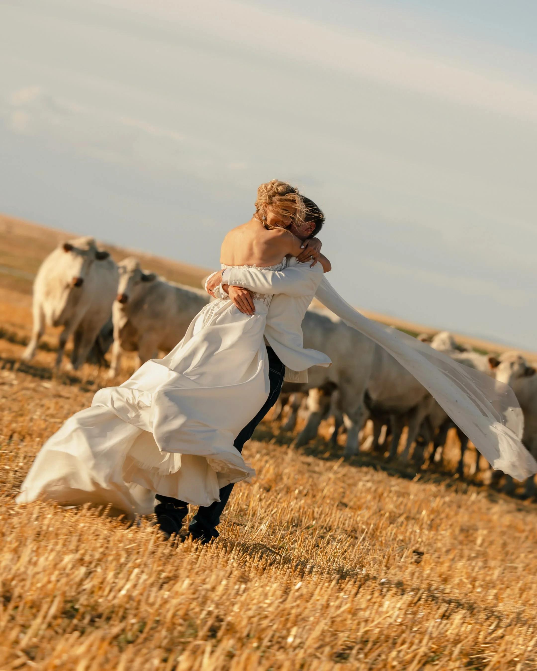 The Wilders sure know how to throw a wedding. 

A beautiful barn, Charolais cows, CoJo the corgi, winds gusting up to 100 km/h, and quite possibly the FUNNEST wedding party I&rsquo;ve ever had the pleasure of photographing. 

A little windblown, a wh